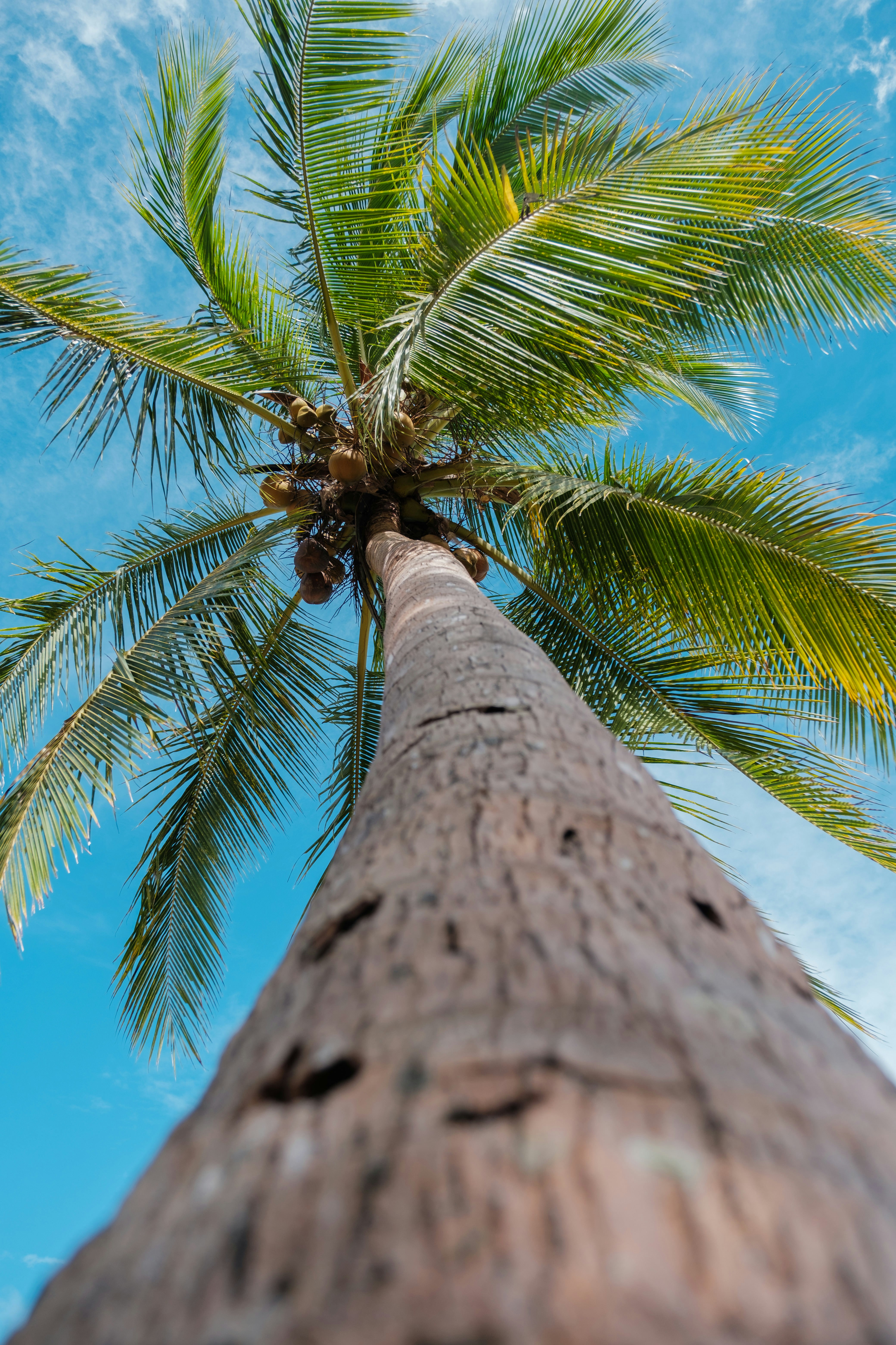 Photo by pixelatelier