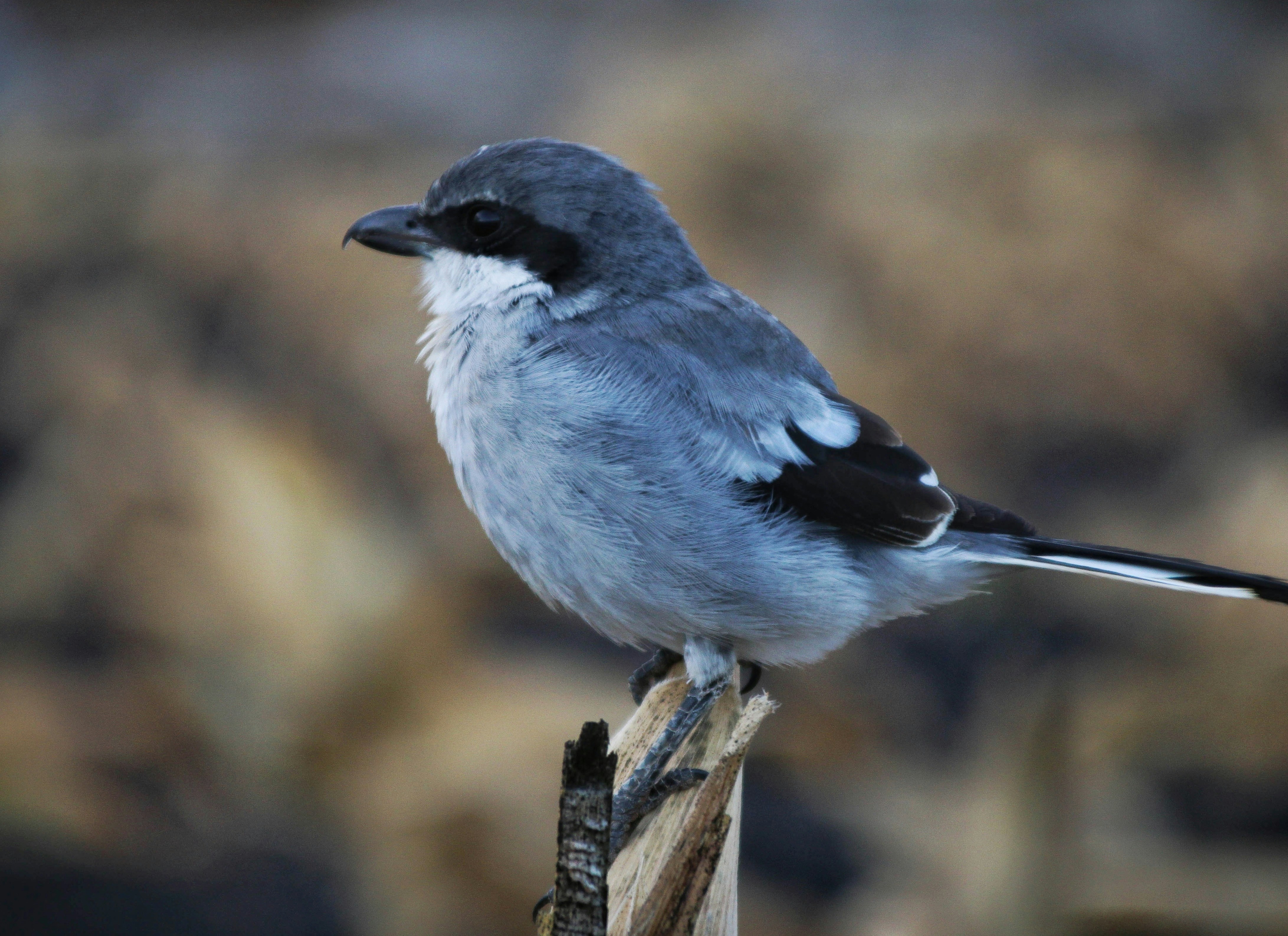 Photo by phmotorlanzarote