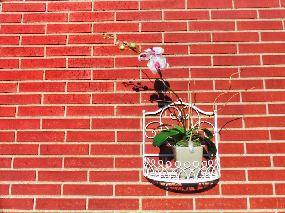a flower pot hanging from the side of a brick wall