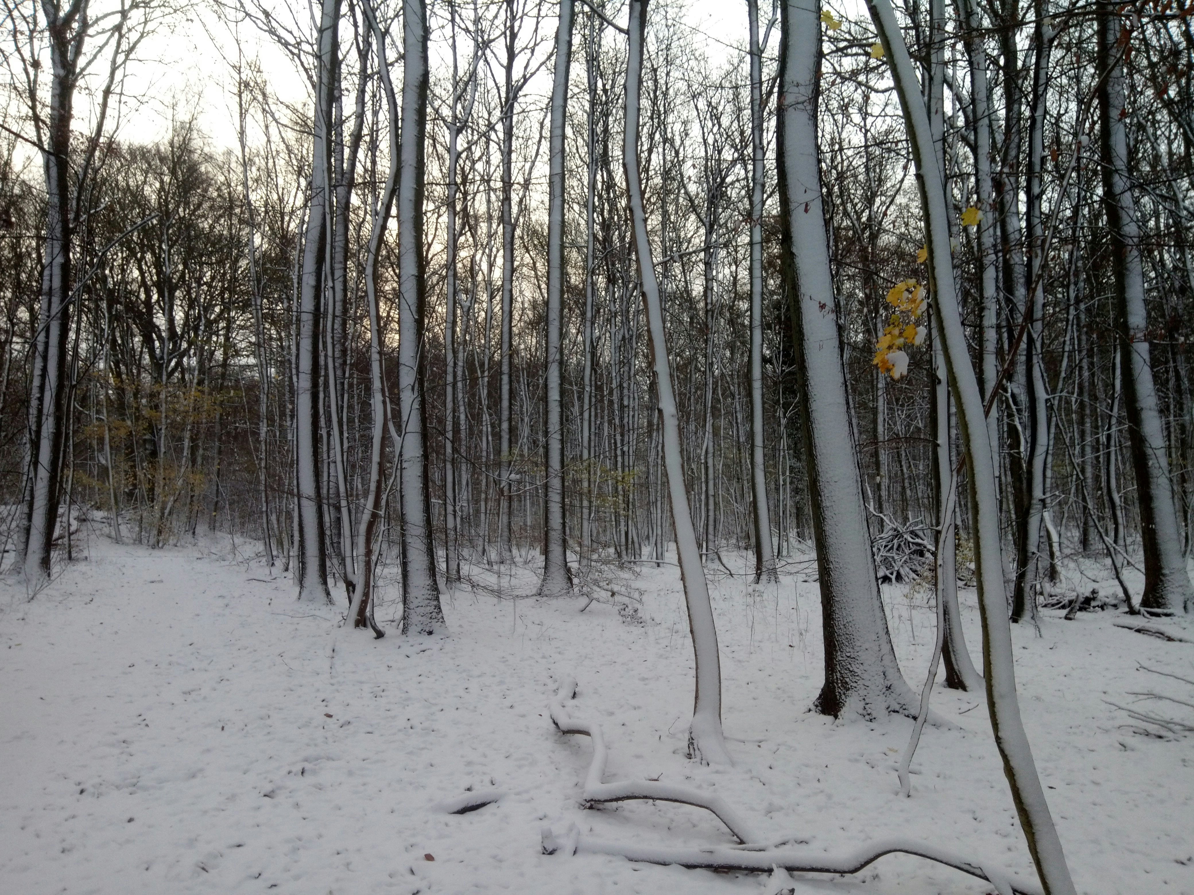 Photo by youhananassif