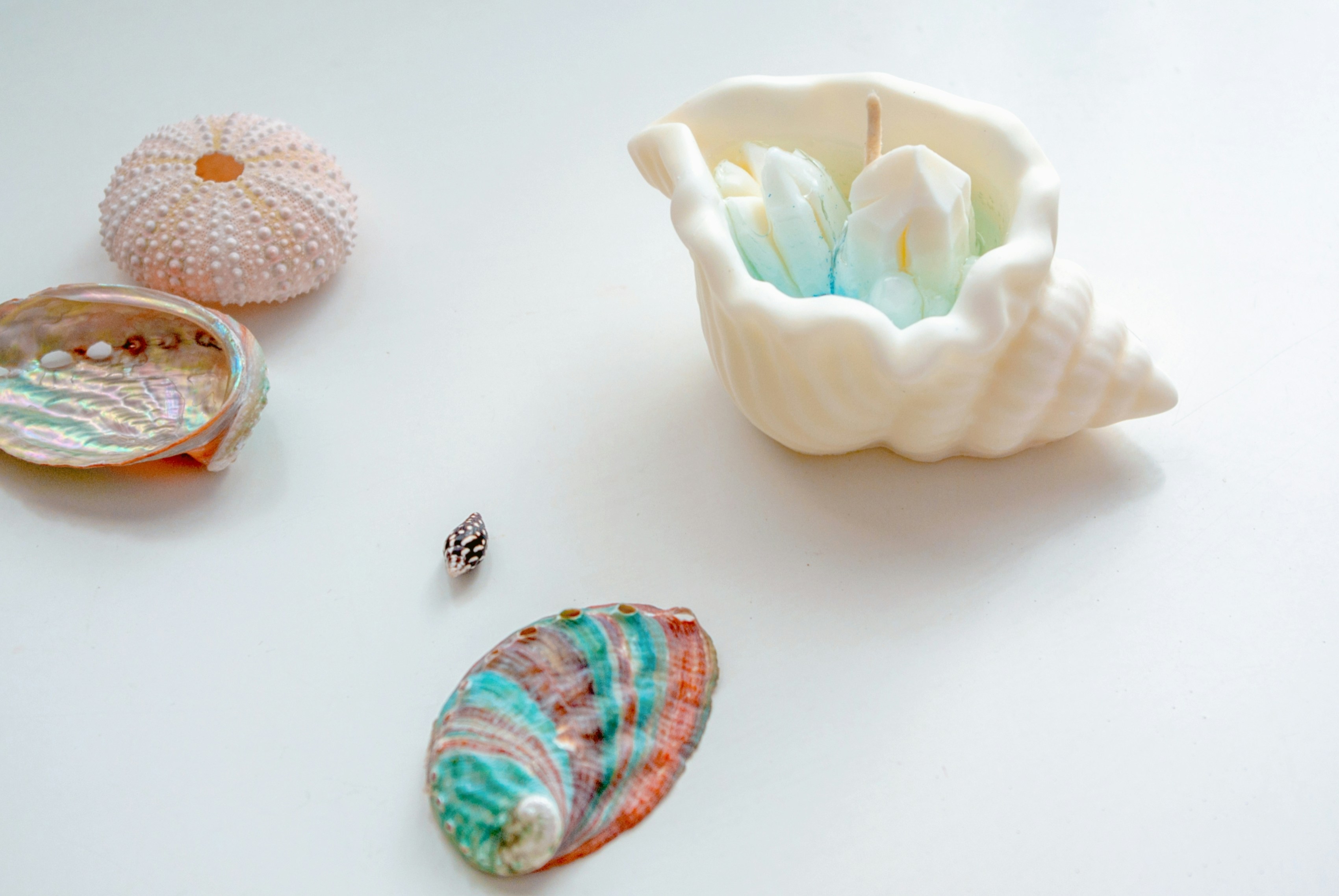 Photo by moonmoons_days