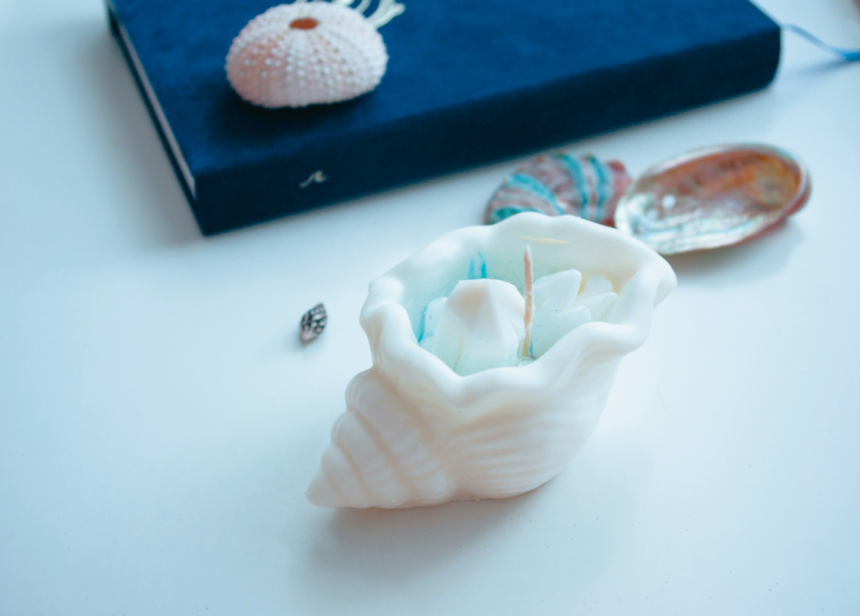 Photo by moonmoons_days