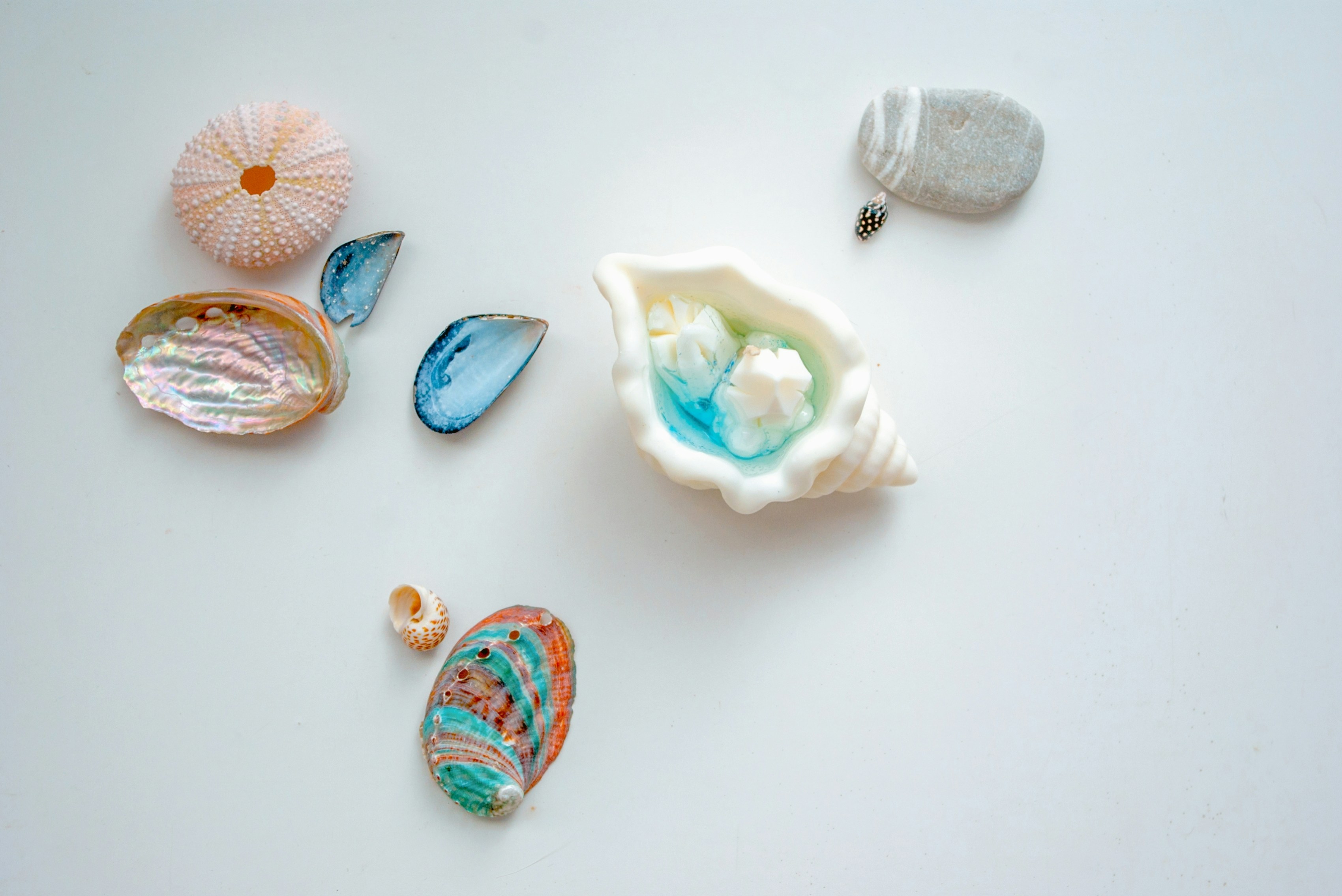 Photo by moonmoons_days