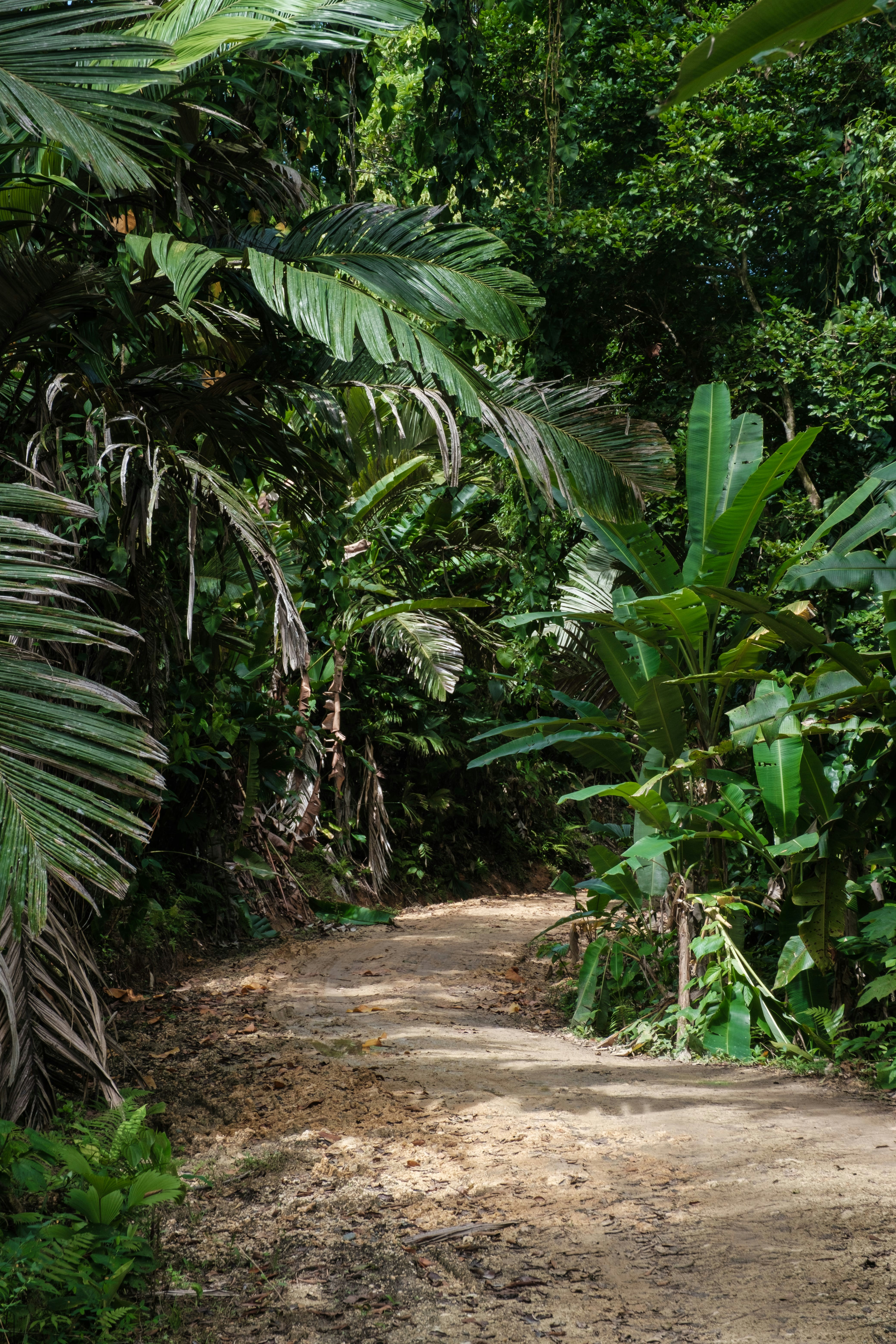 Photo by pixelatelier