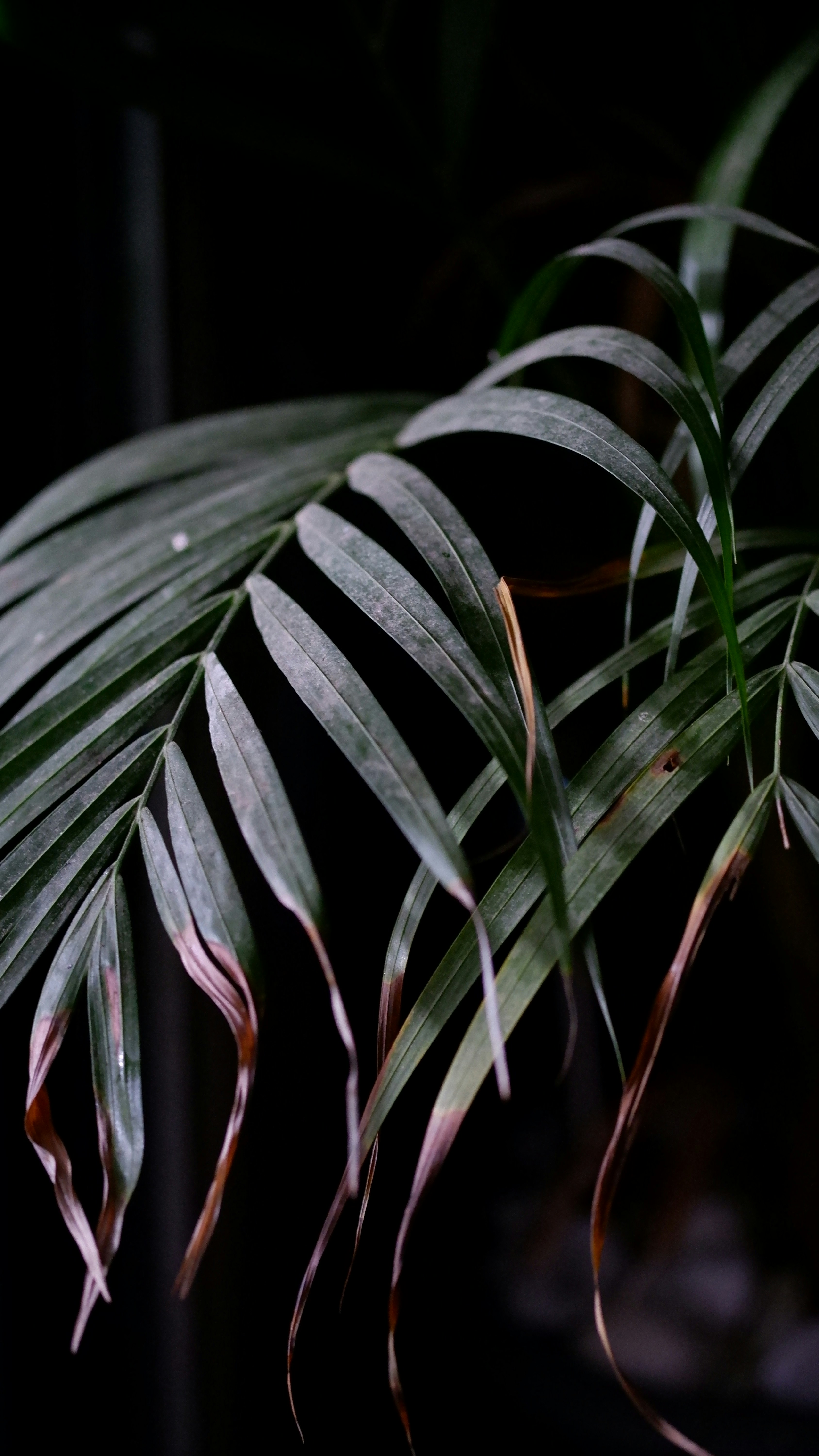 Photo by kristinalev