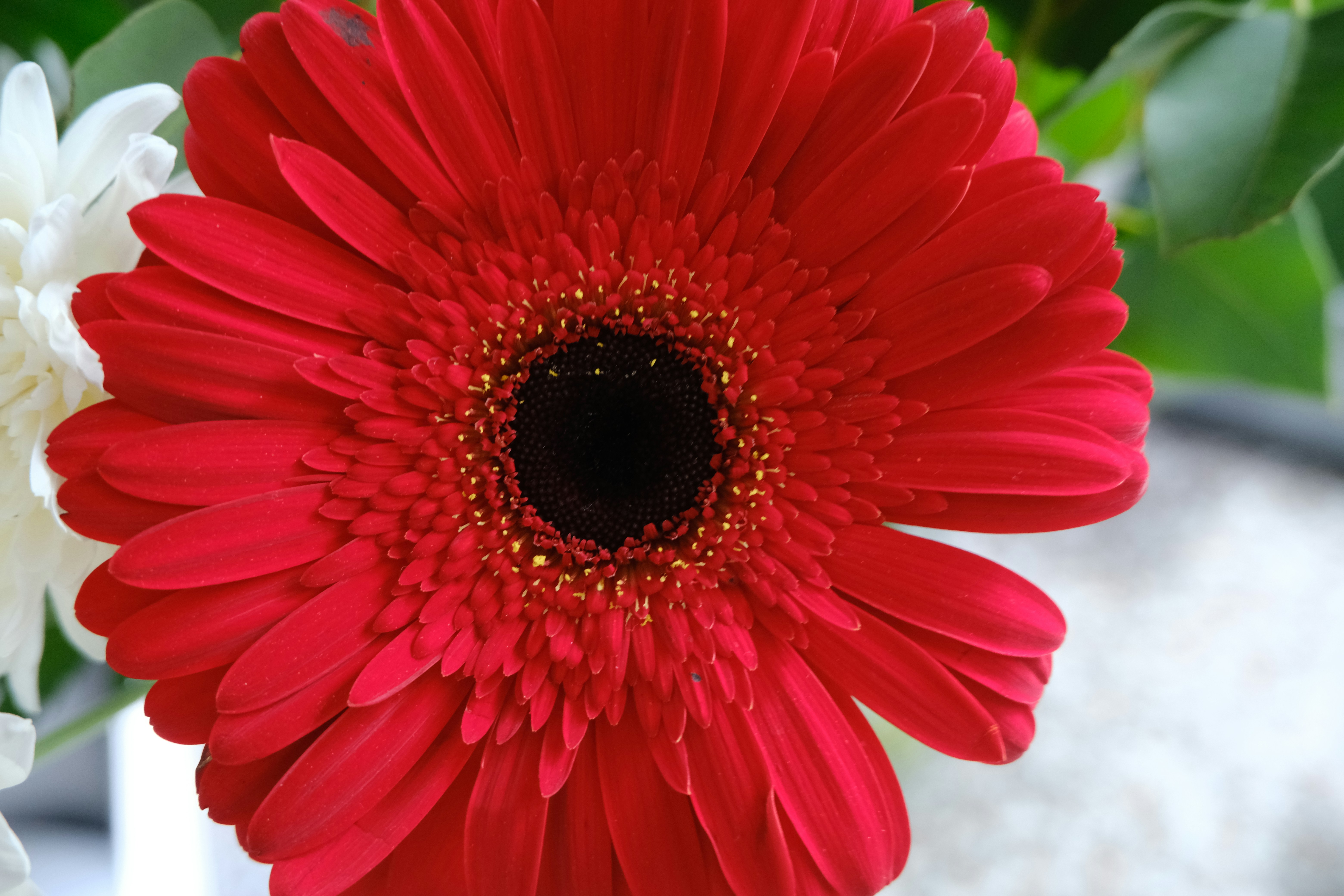 Photo by kristinalev