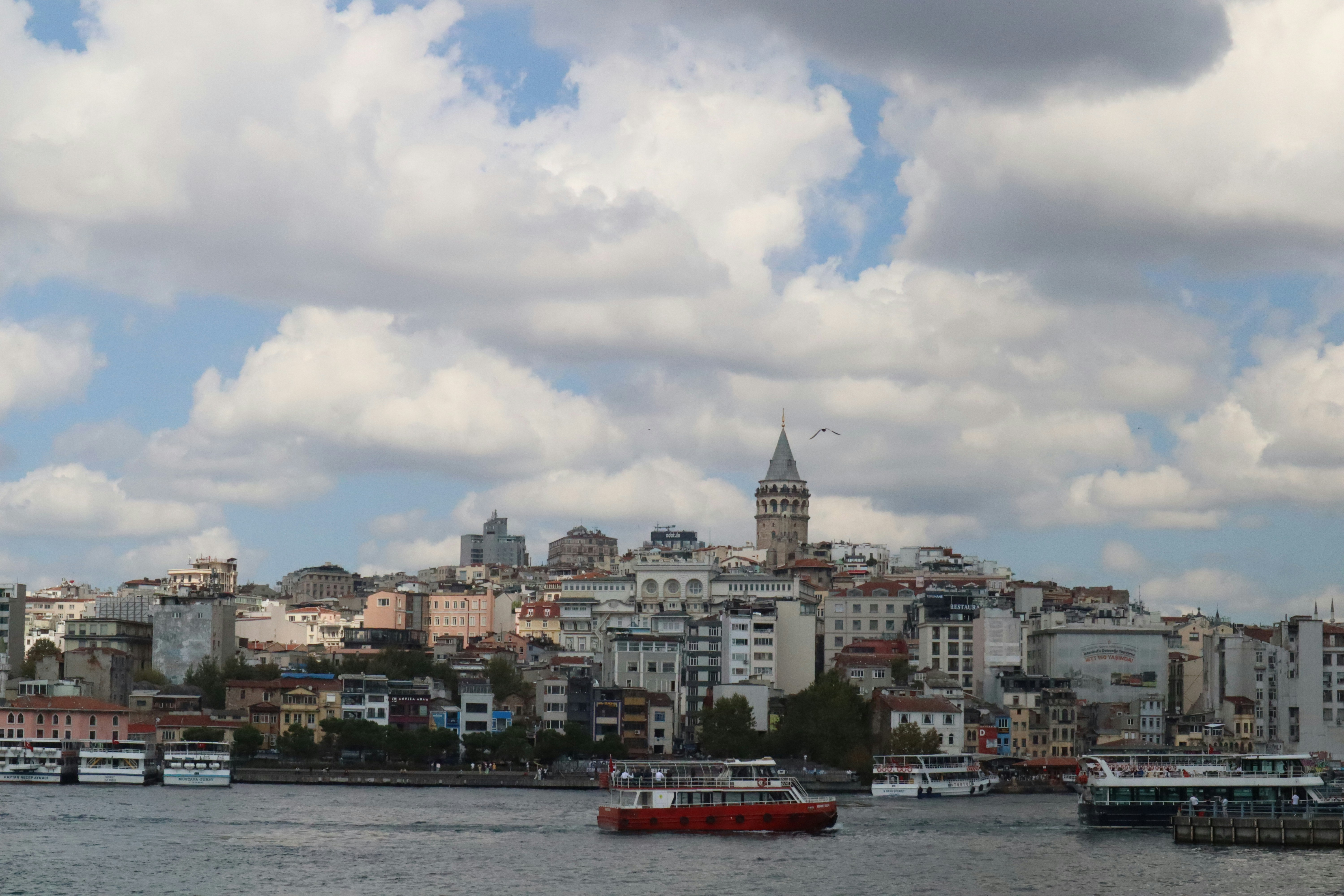 Photo by flowerycoder