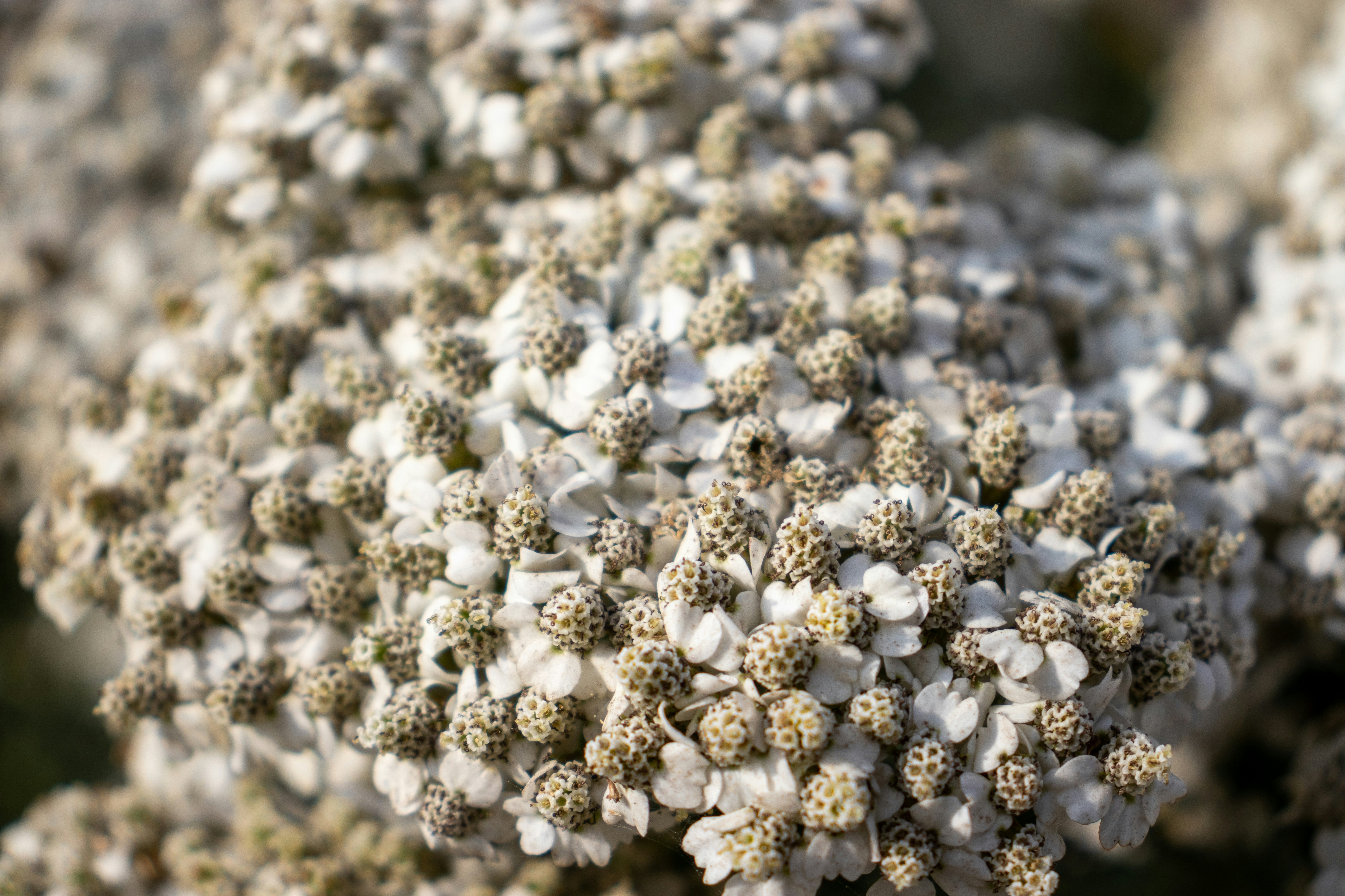 Photo by pokornymichal