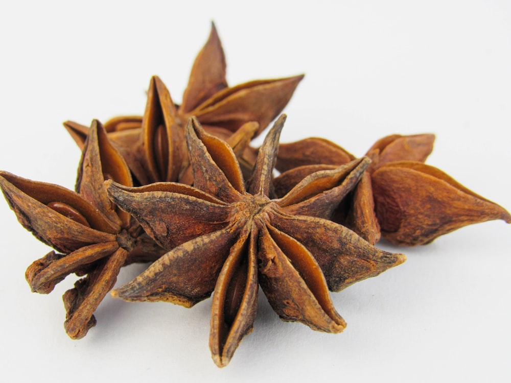 a group of star anise on a white background