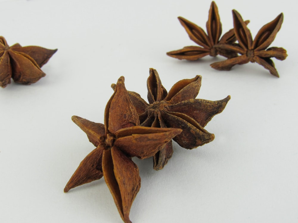 a group of dried star anisets on a white surface