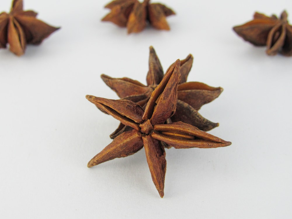 a close up of a star anise on a white surface