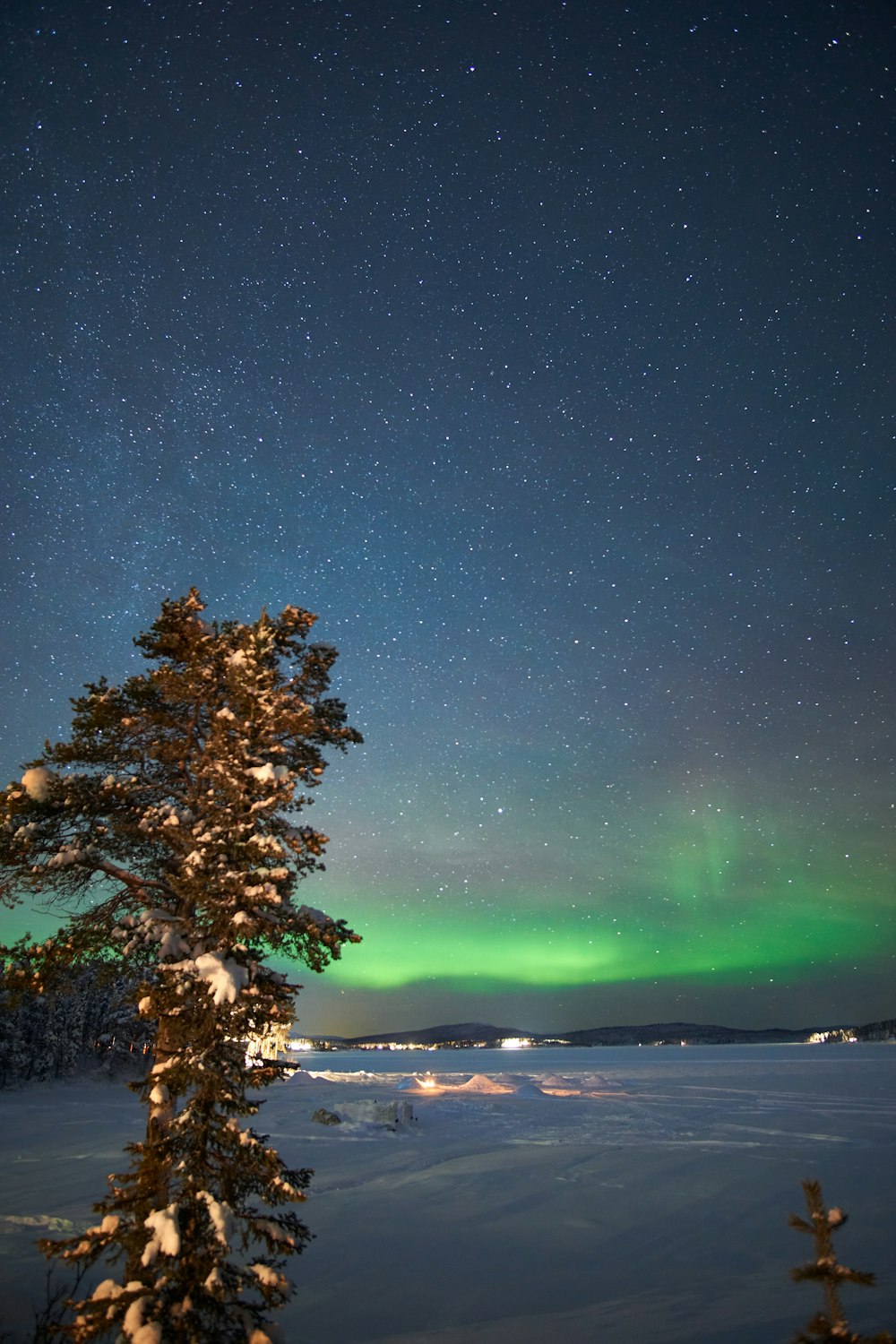 a green and blue aurora over a snow covered forest