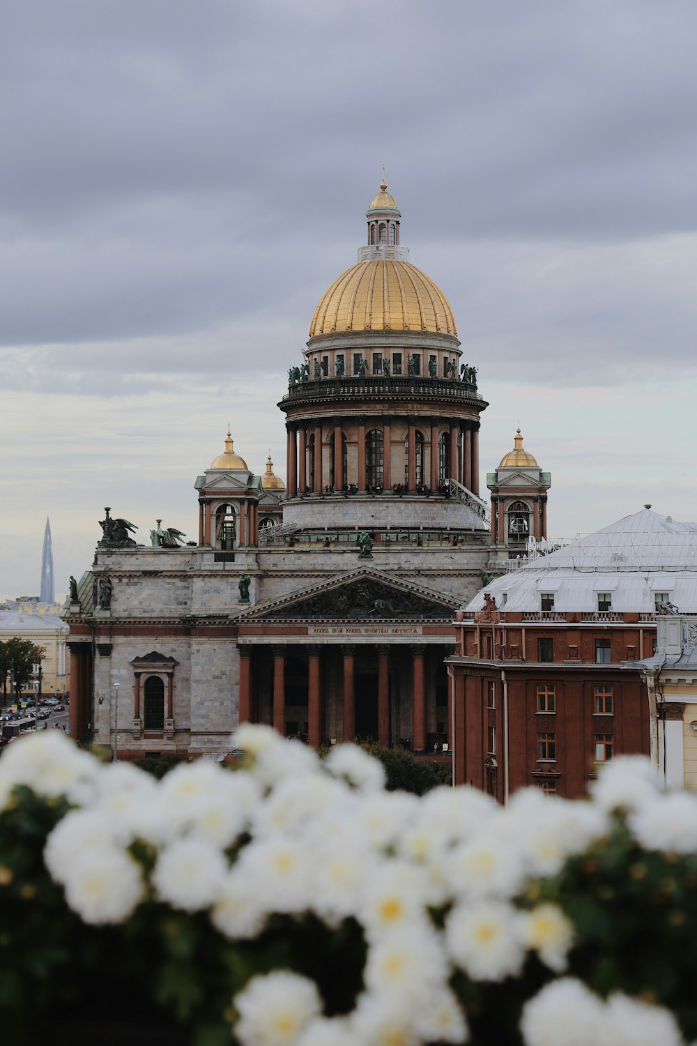 white flowers in front of a building with a golden dome