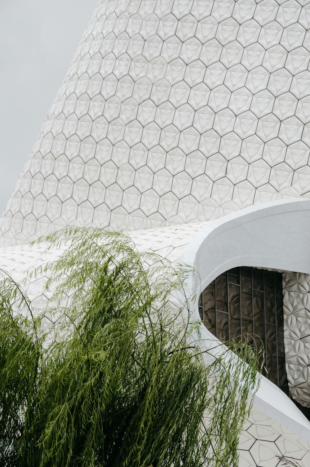 a close up of a building with a plant in front of it