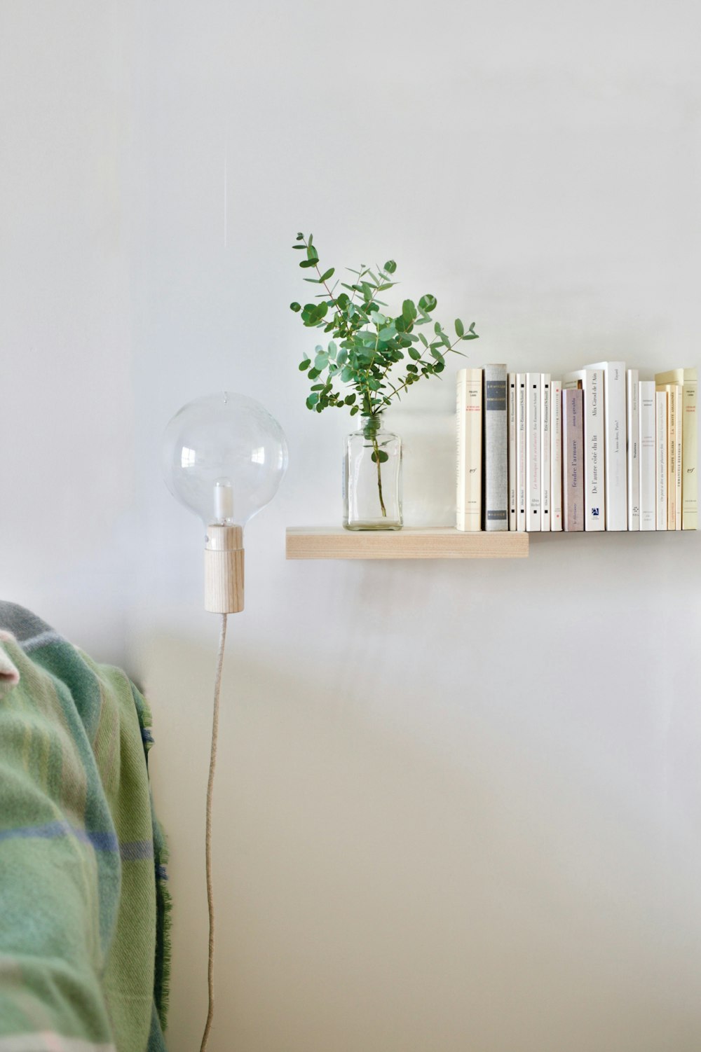 a shelf with books and a plant on it