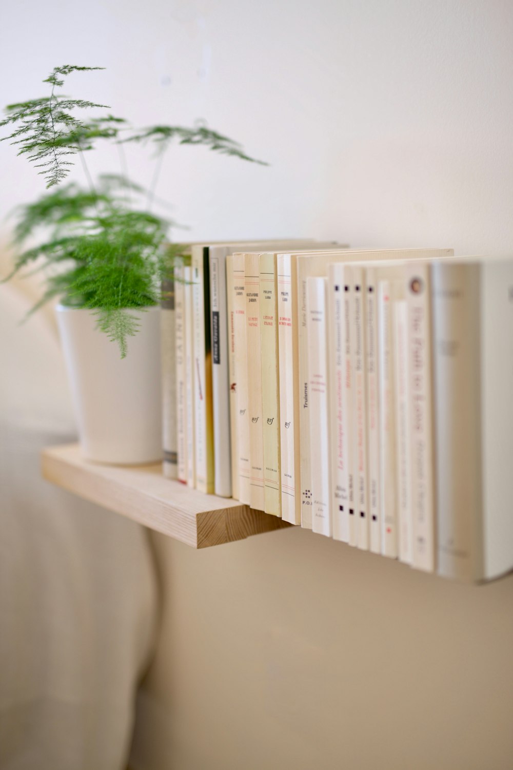 a shelf with books and a potted plant on it