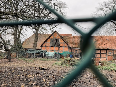 A rustic brick building with a tiled roof surrounded by barren trees. The scene is viewed through a green chain-link fence, and the foreground features a ground covered with fallen leaves and scattered apples. Some tarpaulins and various objects are visible near the building.