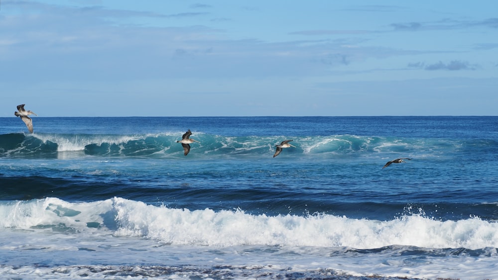 a group of people riding waves on top of surfboards