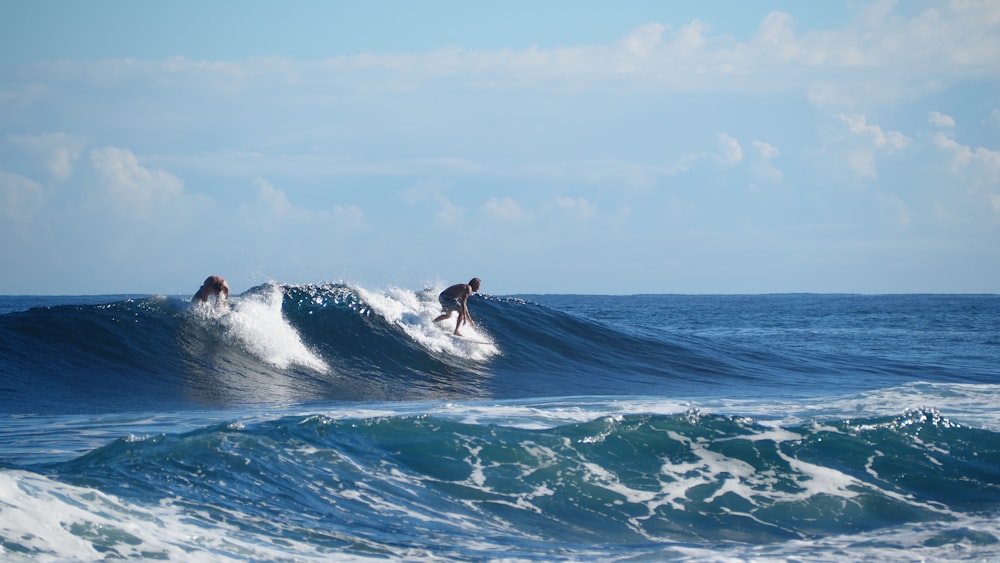 two surfers riding a wave in the ocean