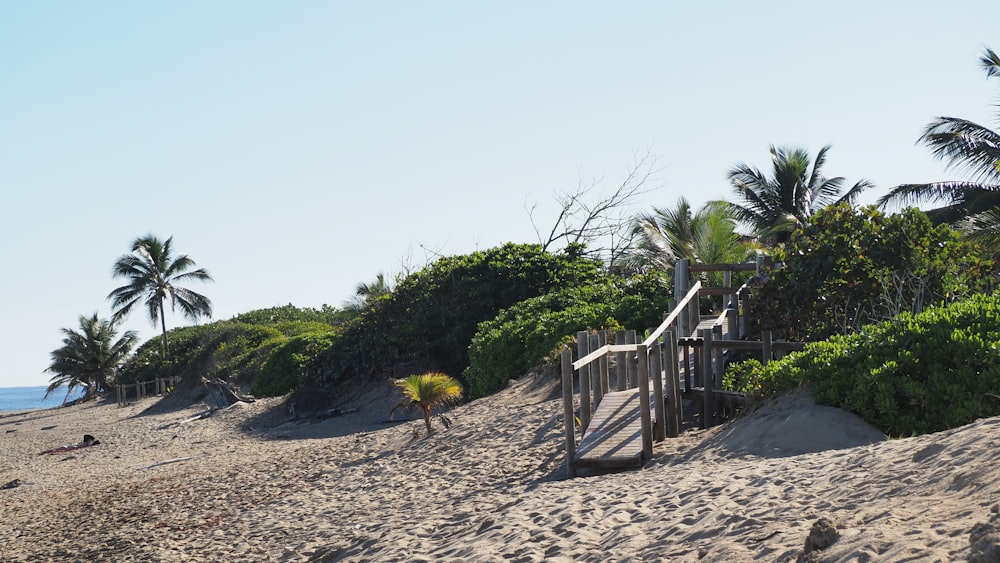 a sandy beach with palm trees and stairs leading to the ocean