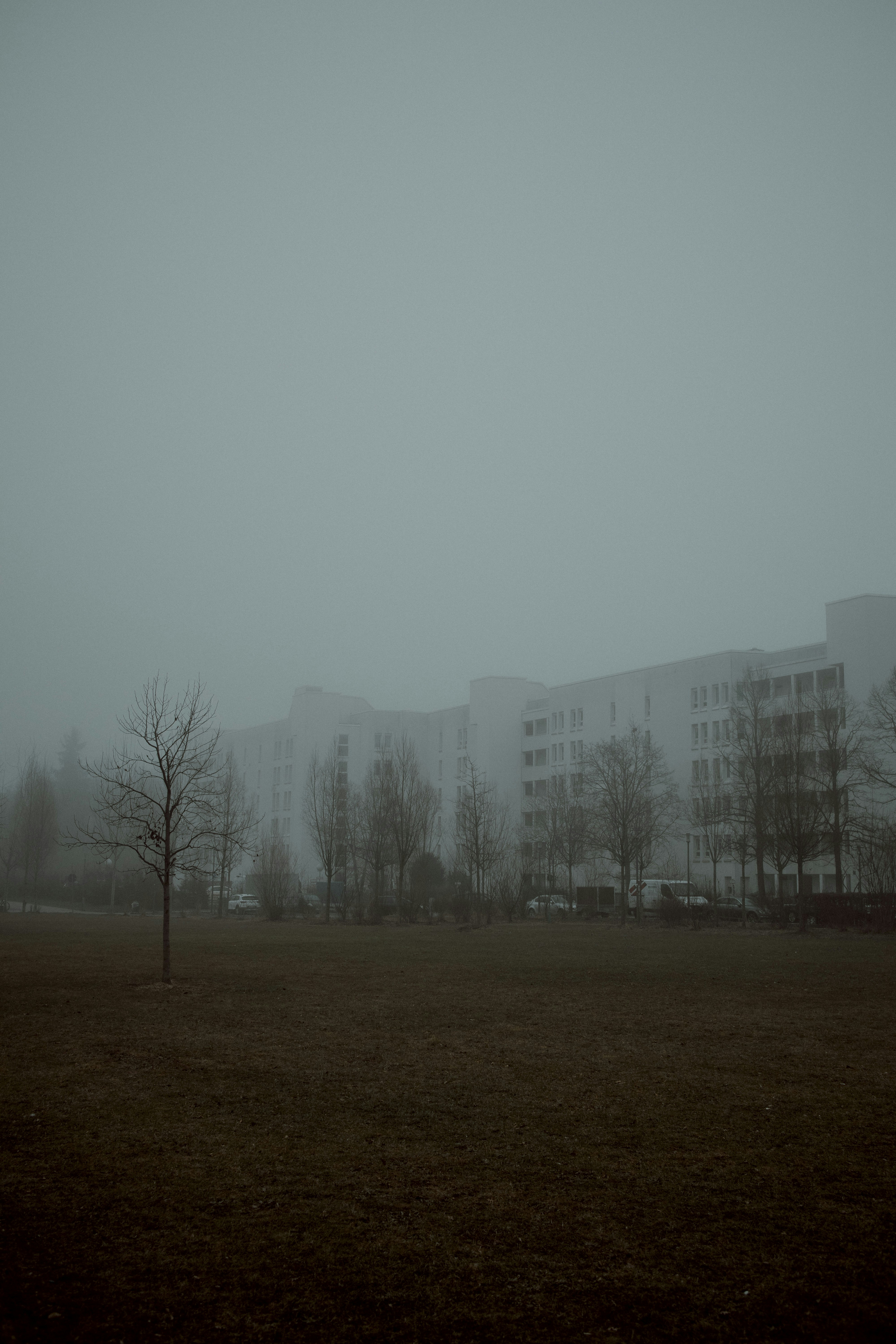 Photo by octadan