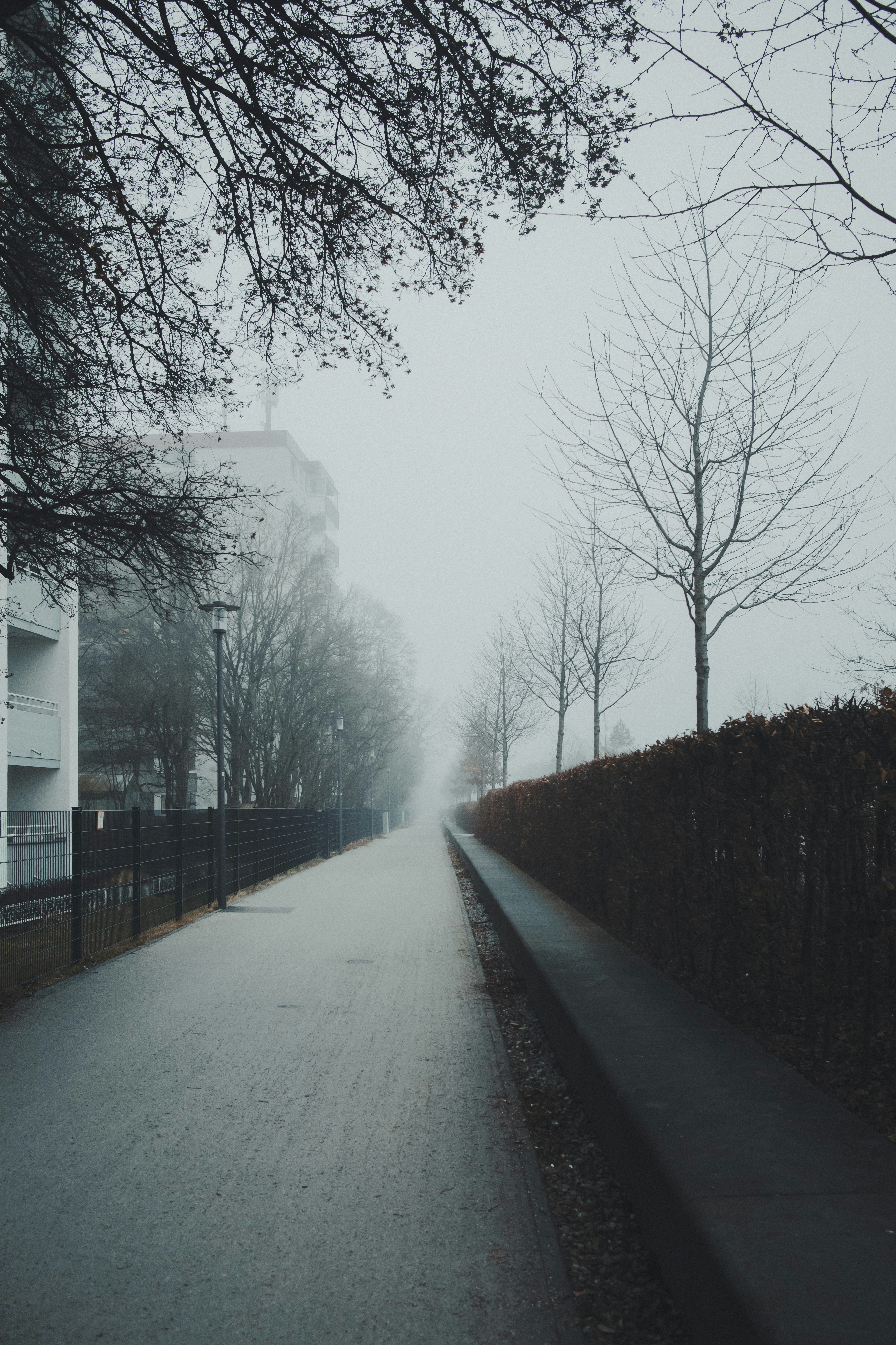Photo by octadan