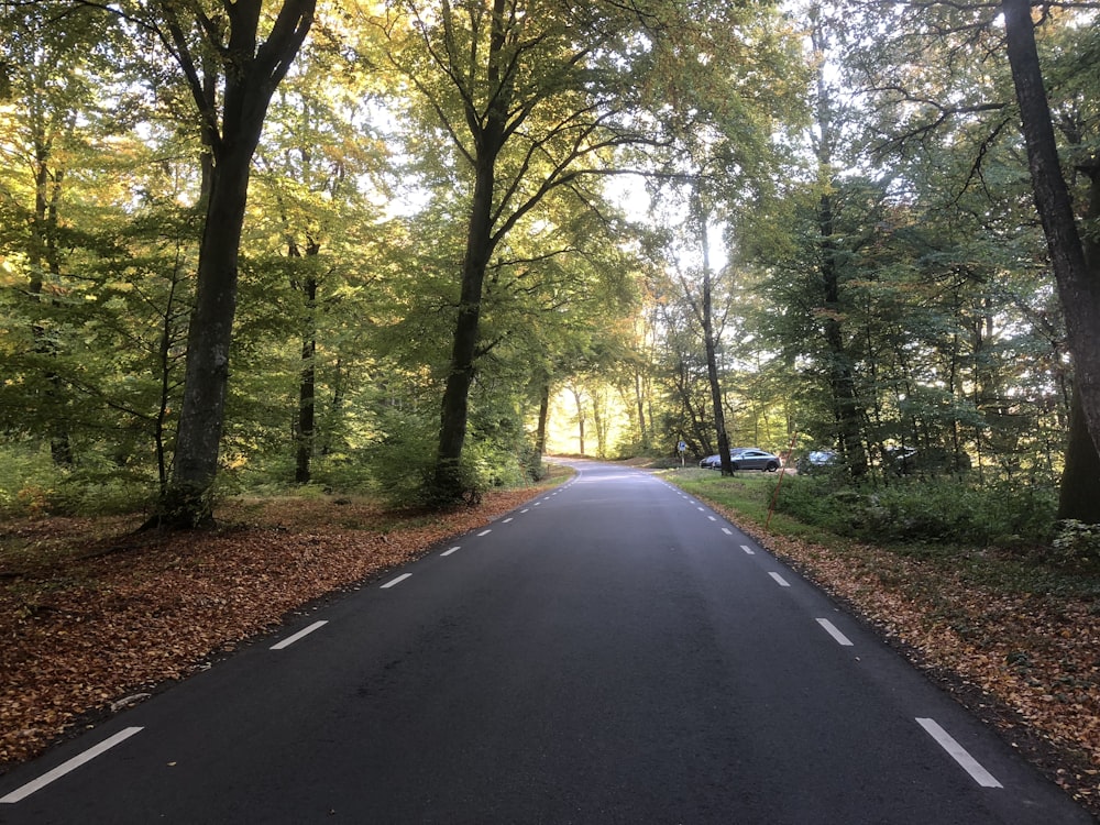 an empty road surrounded by trees and leaves