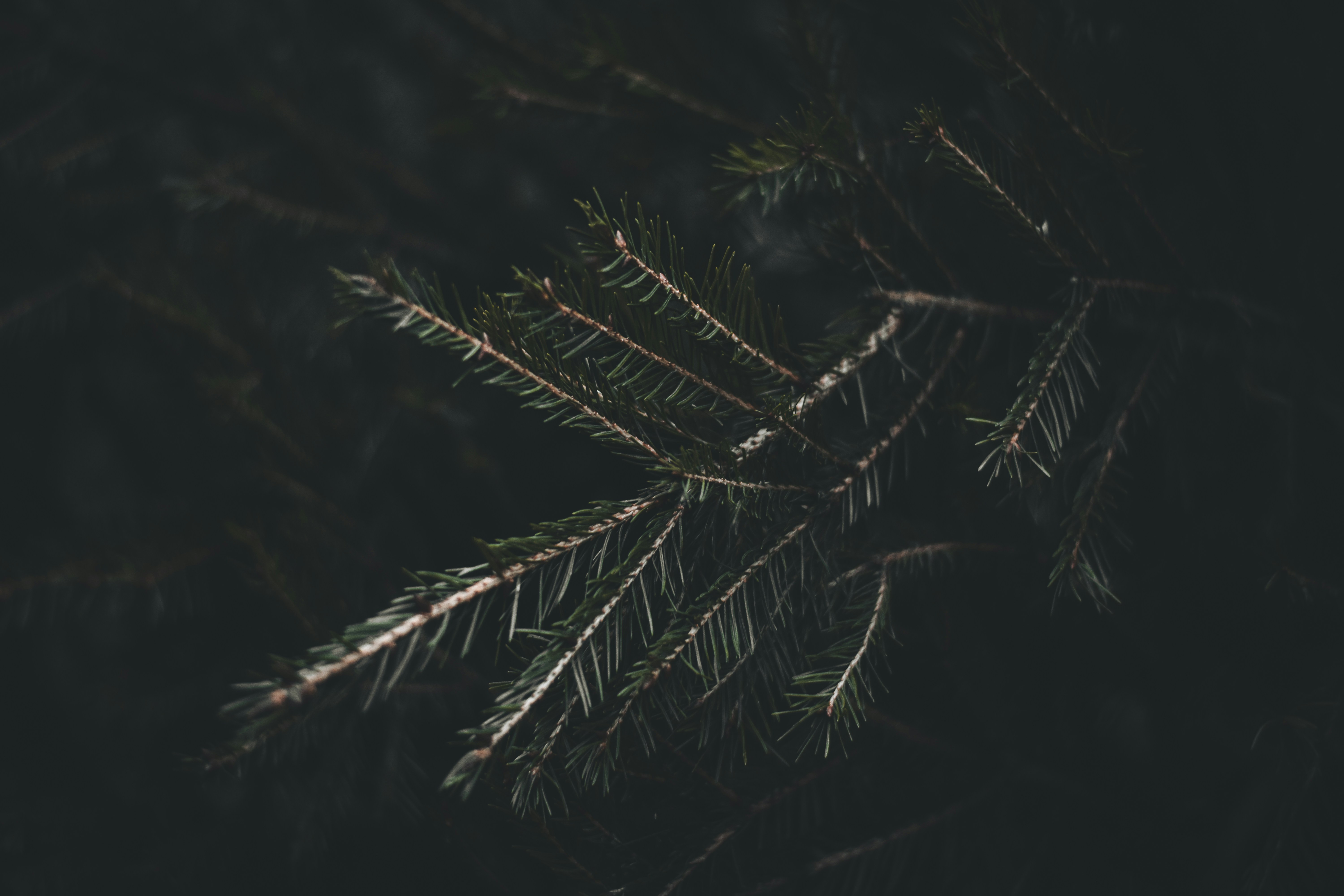 Photo by elliottmason