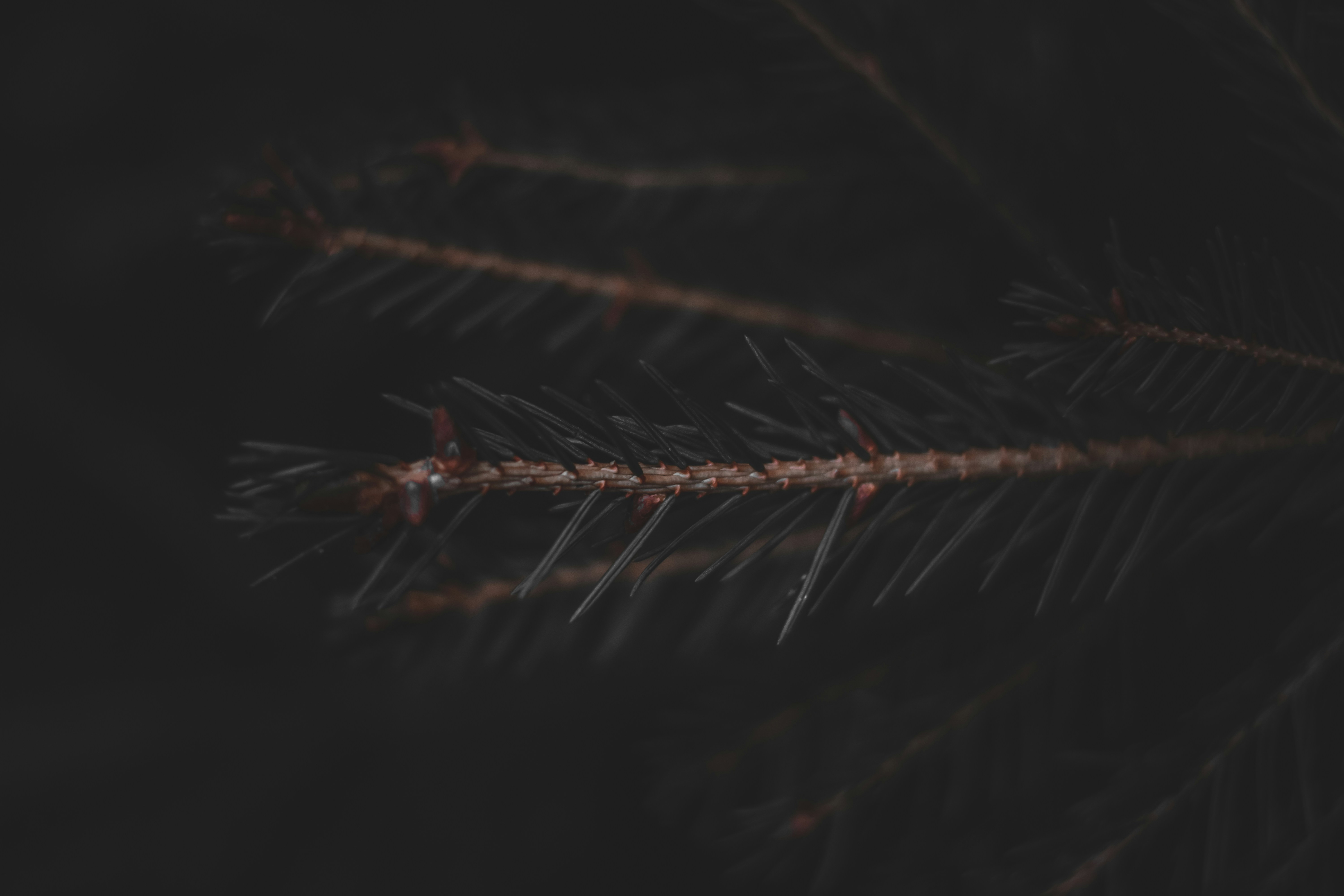 Photo by elliottmason