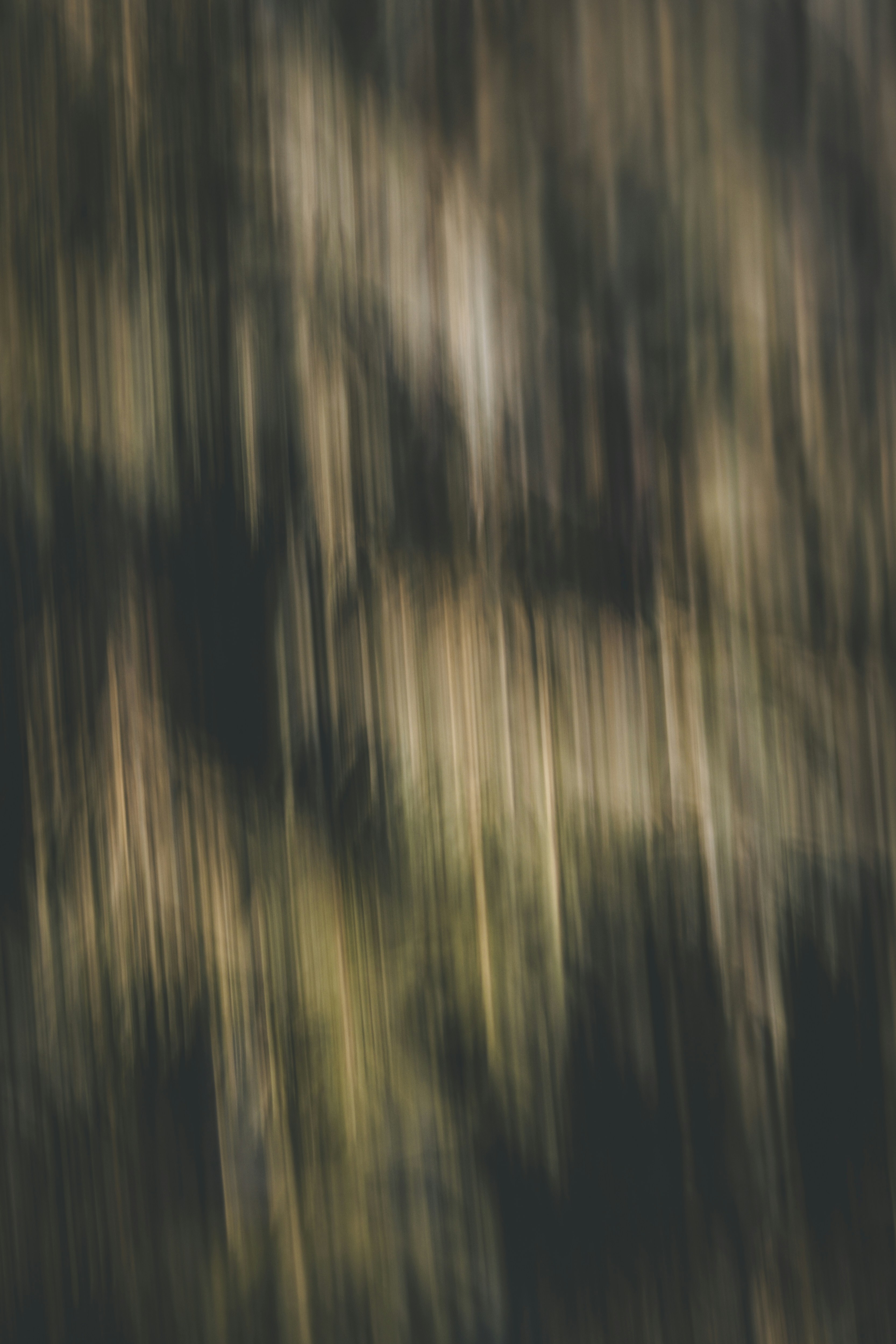 Photo by elliottmason