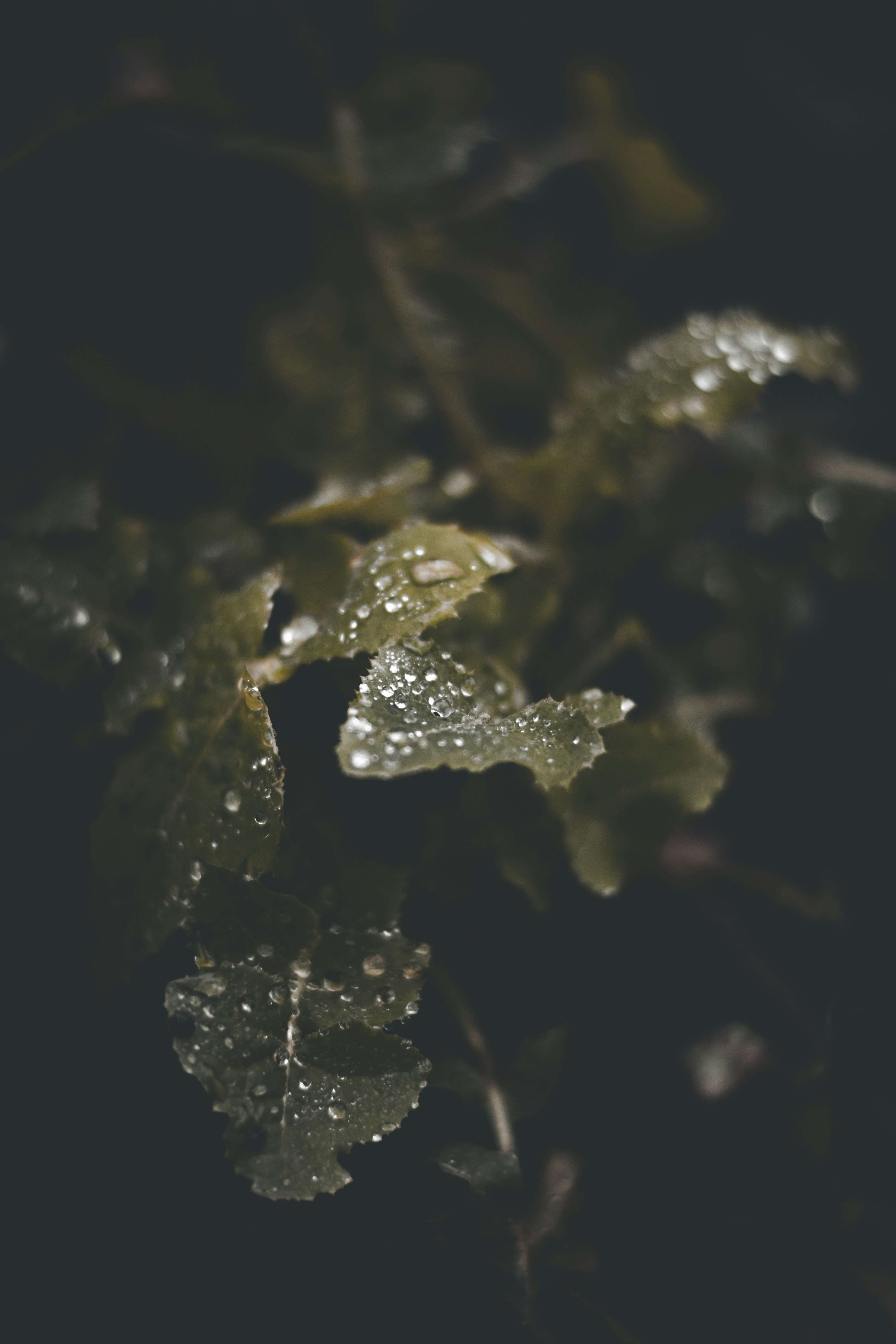 Photo by elliottmason