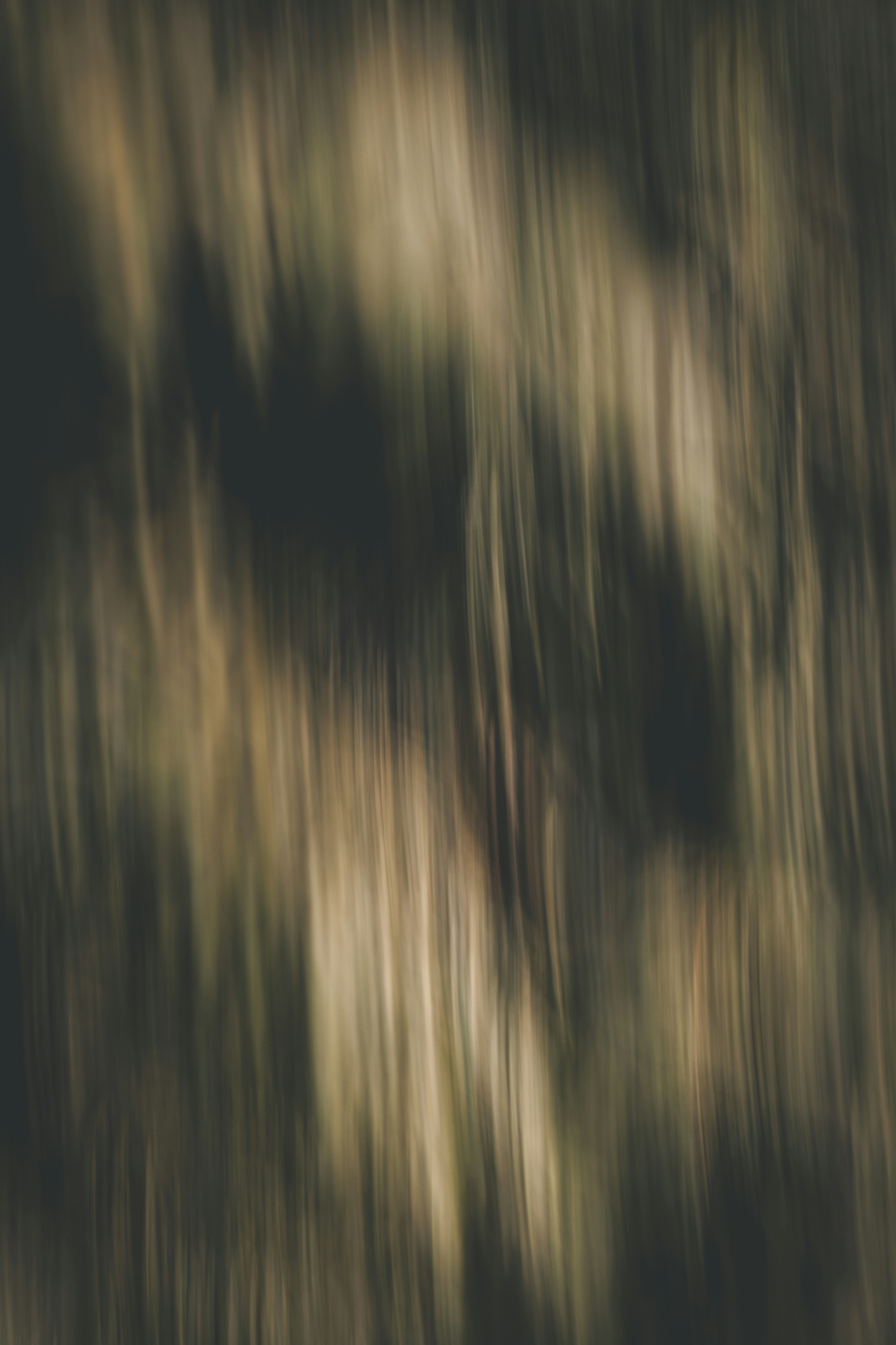 Photo by elliottmason