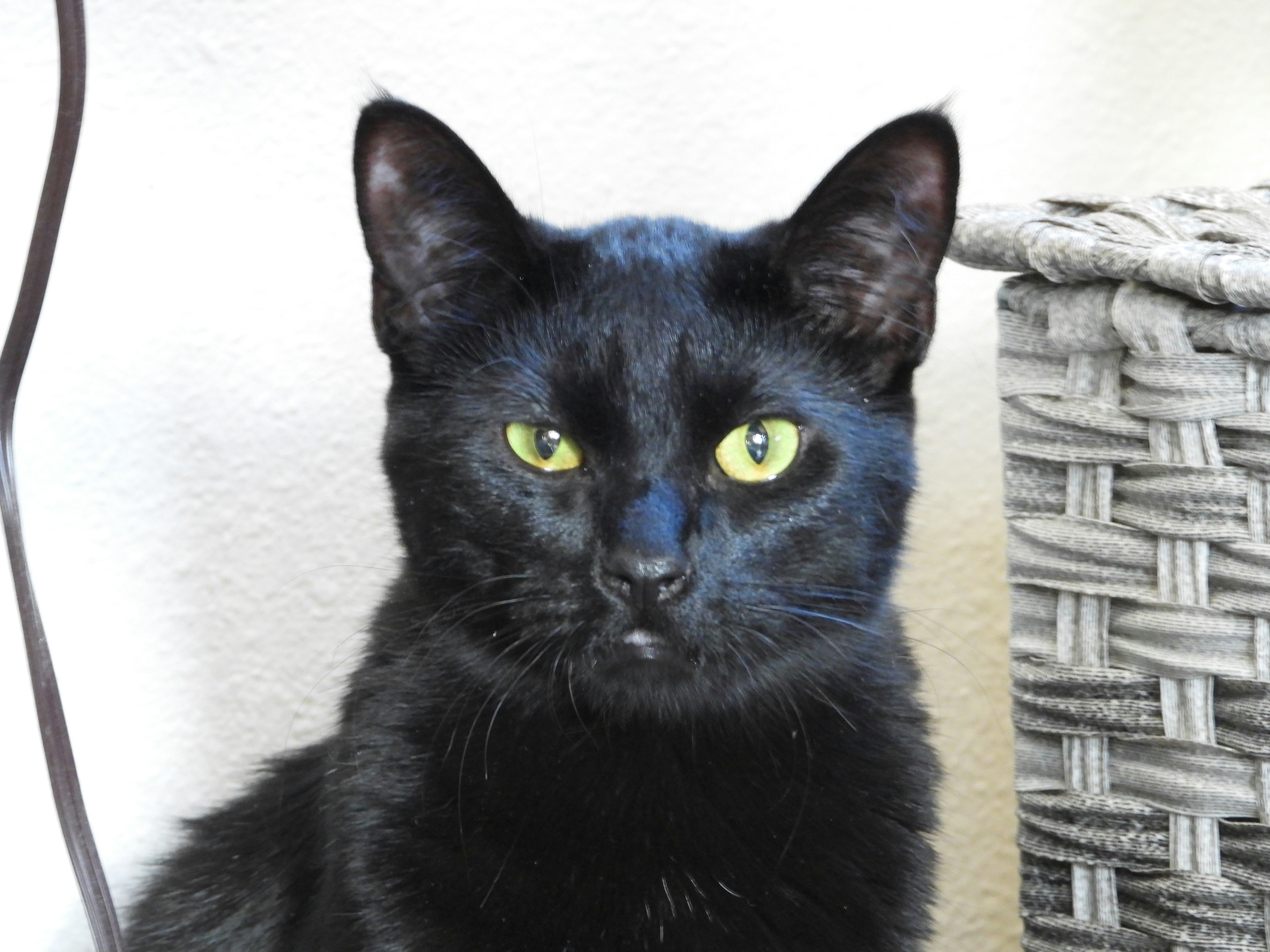 Photo by evergreene24