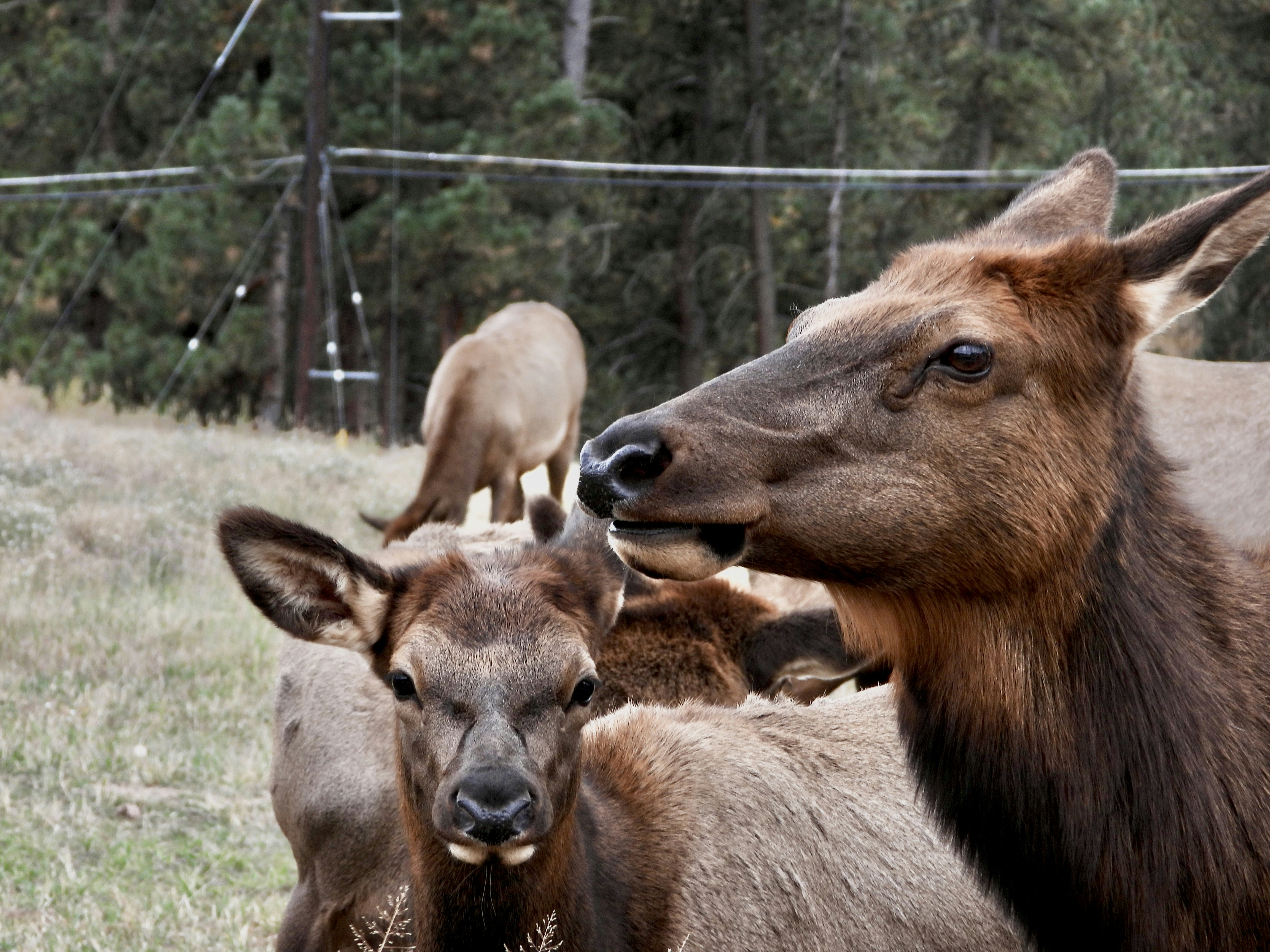 Photo by evergreene24