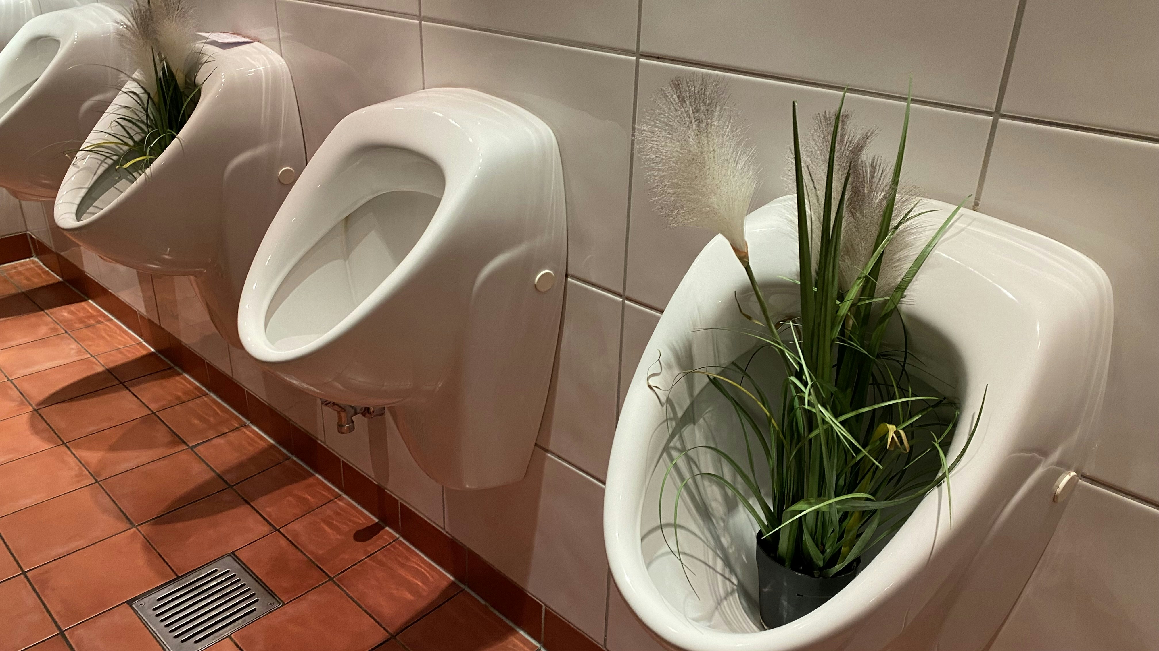 Cloreto de Tróspio: Indicações, Doses e Efeitos Secundários