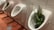 A row of white urinals in a restroom is each decorated with artificial green plants placed inside them. The floor is covered with brown tiles and the walls are white tiles, creating a contrast in colors and textures.