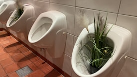 A row of white urinals in a restroom is each decorated with artificial green plants placed inside them. The floor is covered with brown tiles and the walls are white tiles, creating a contrast in colors and textures.