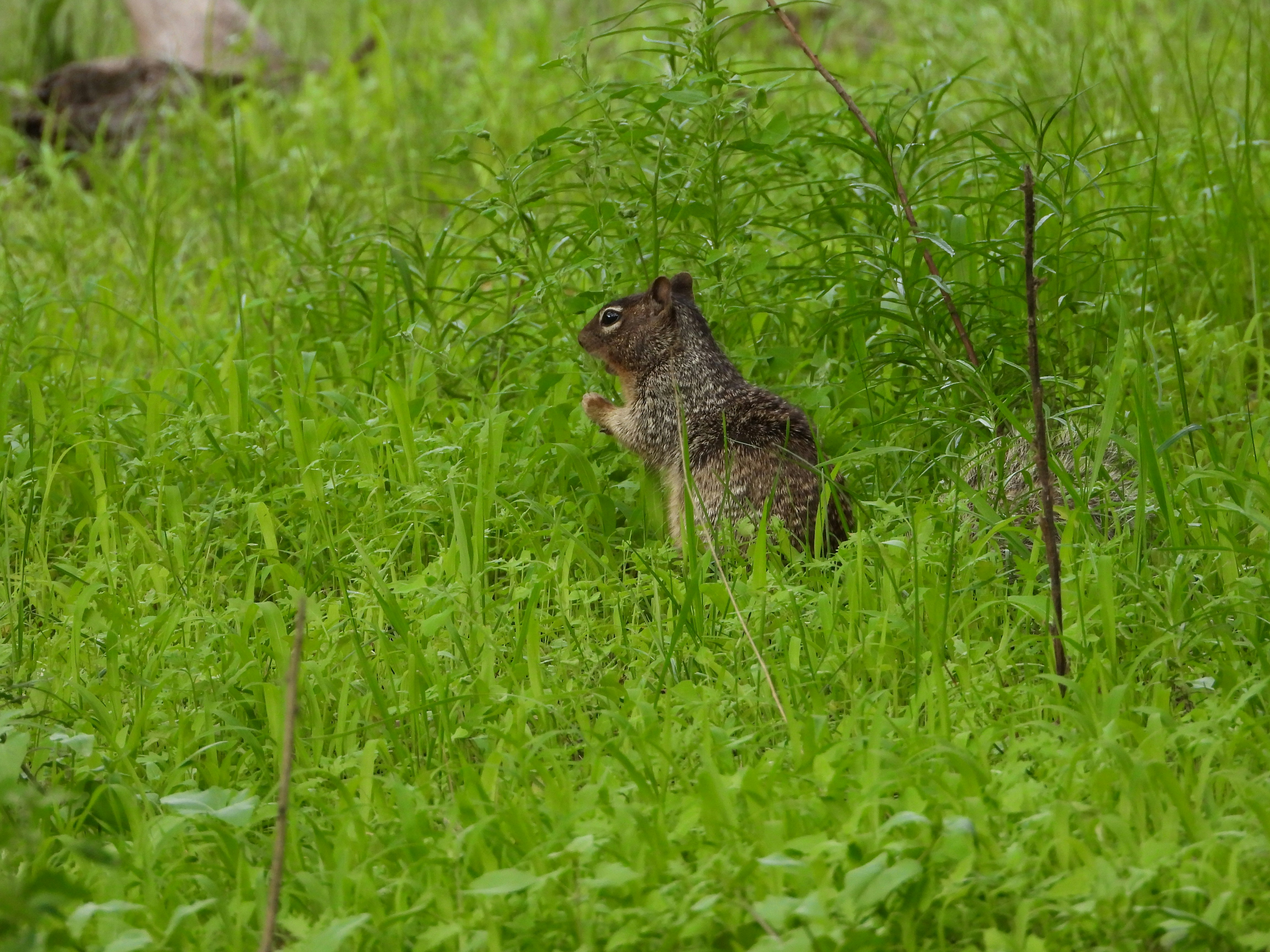 Photo by evergreene24