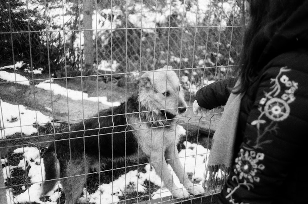a woman petting a dog through a fence