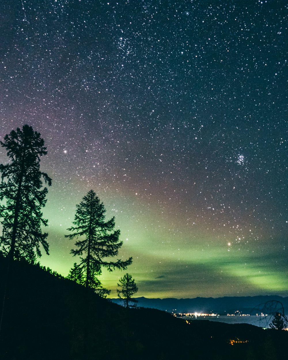 a green and purple sky with stars and trees