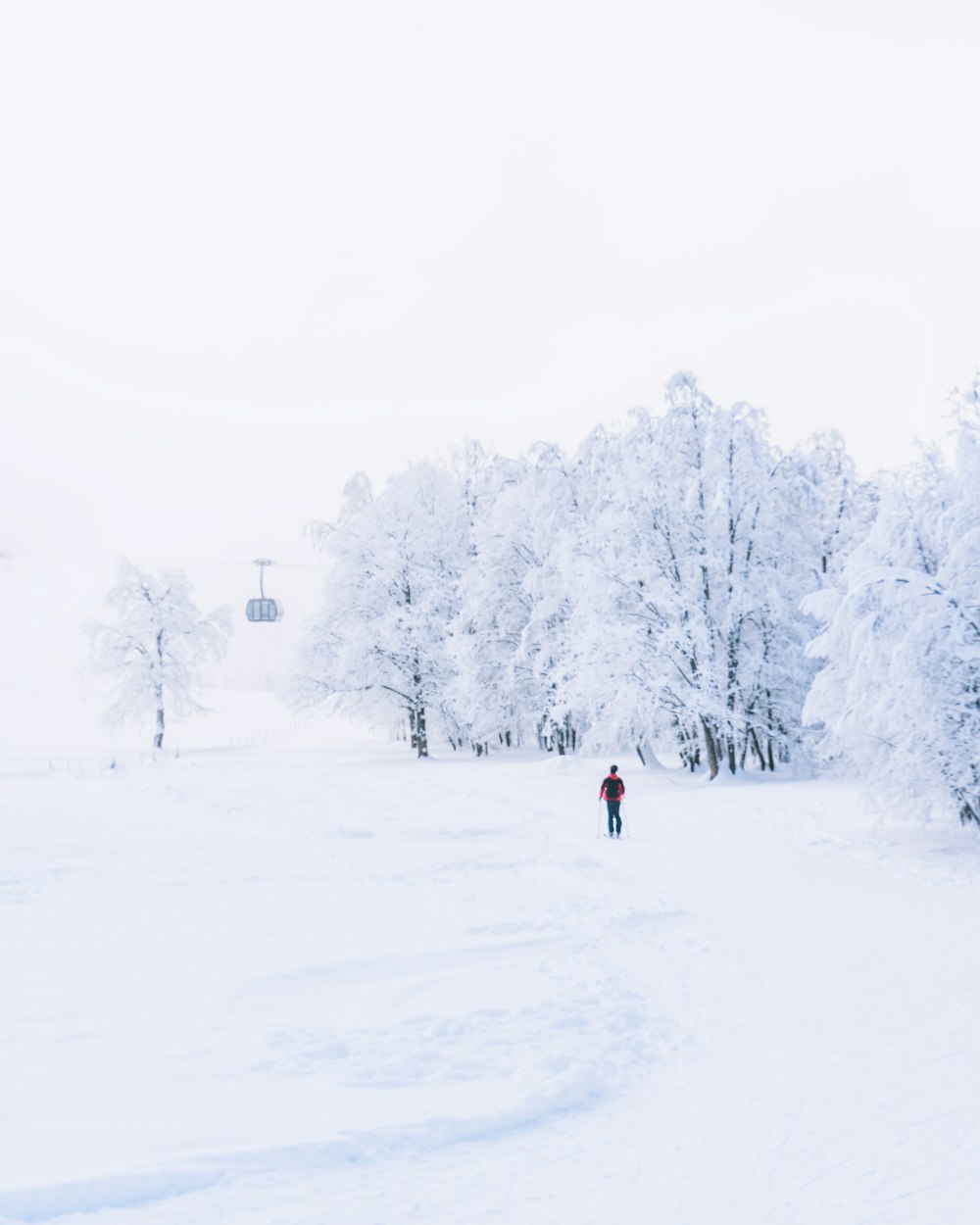 a person walking through a snow covered forest