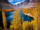 a body of water surrounded by mountains and trees