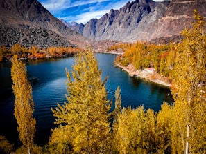 a body of water surrounded by mountains and trees
