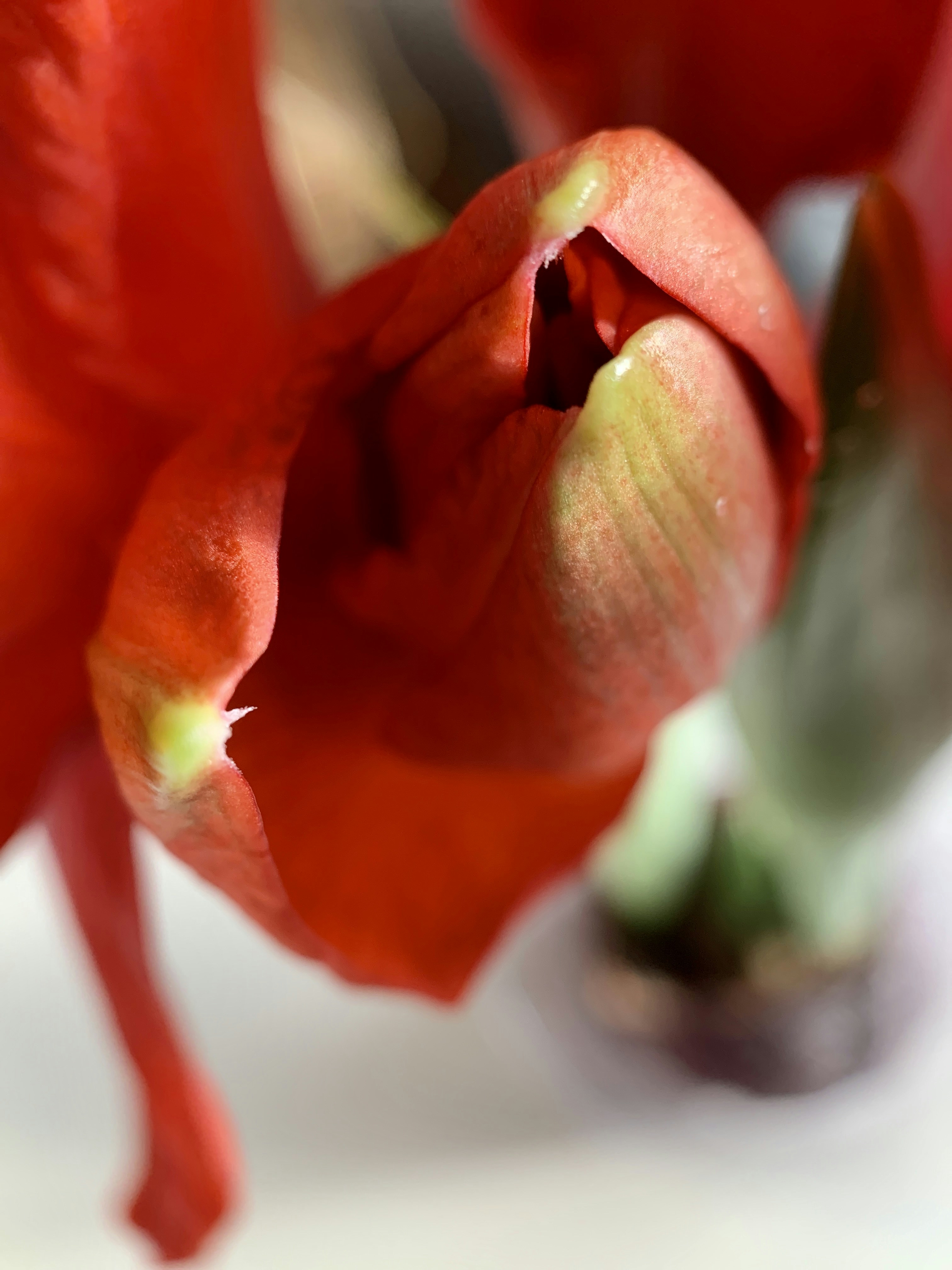 Photo by annie_kramer74