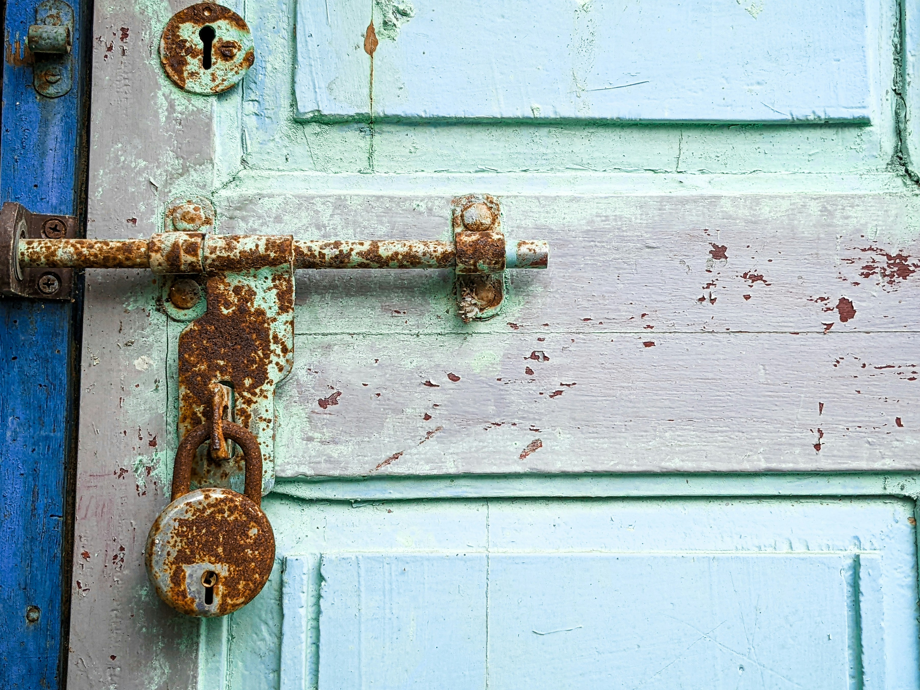 Photo by karthick_narain