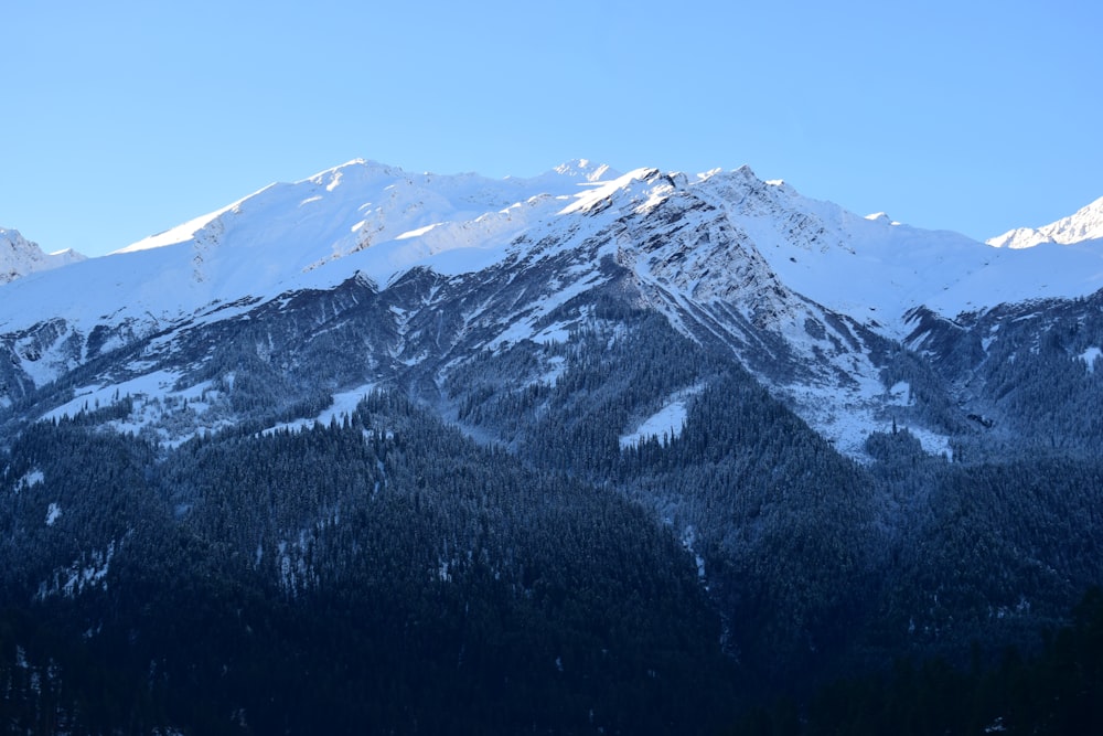 a snow covered mountain range with trees in the foreground