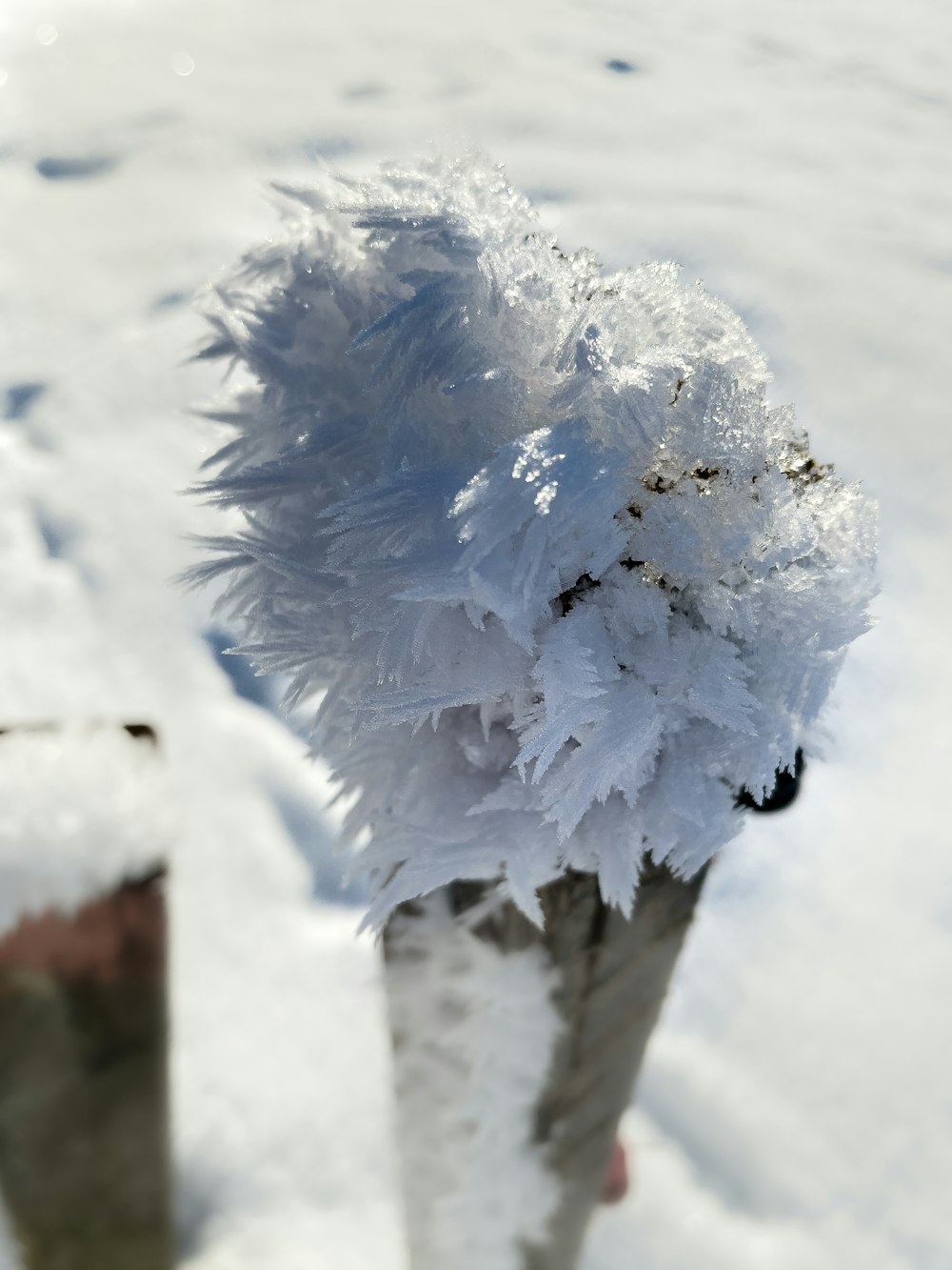 a close up of a snow covered pole in the snow