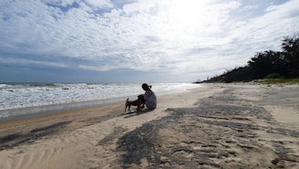 a person sitting on a beach with a dog