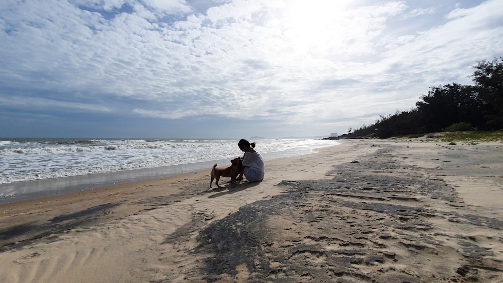 a person sitting on a beach with a dog