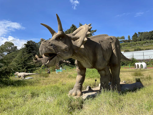 Close-up of a colorful triceratops outline ready to be filled with vibrant colors.